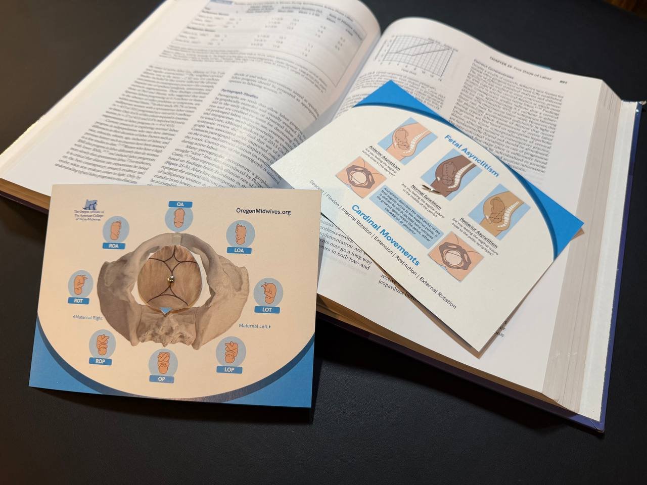 pelvic wheel with book.jpg