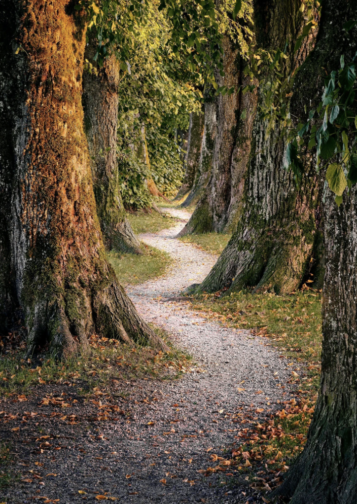 Walking Each Other Home