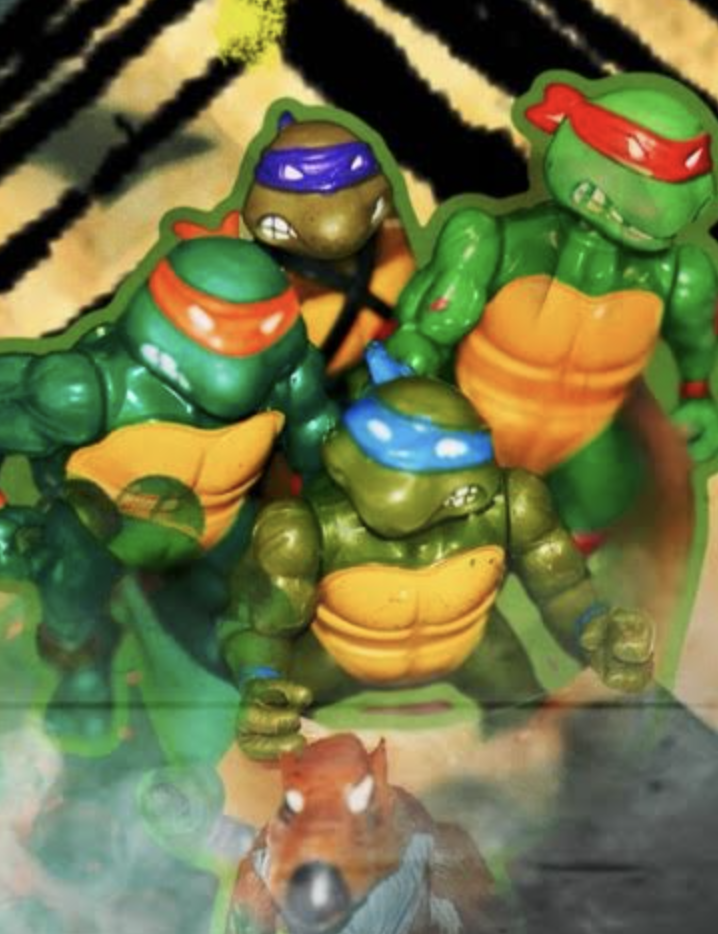 Turtle Power, Part ||: Learning to Move Together