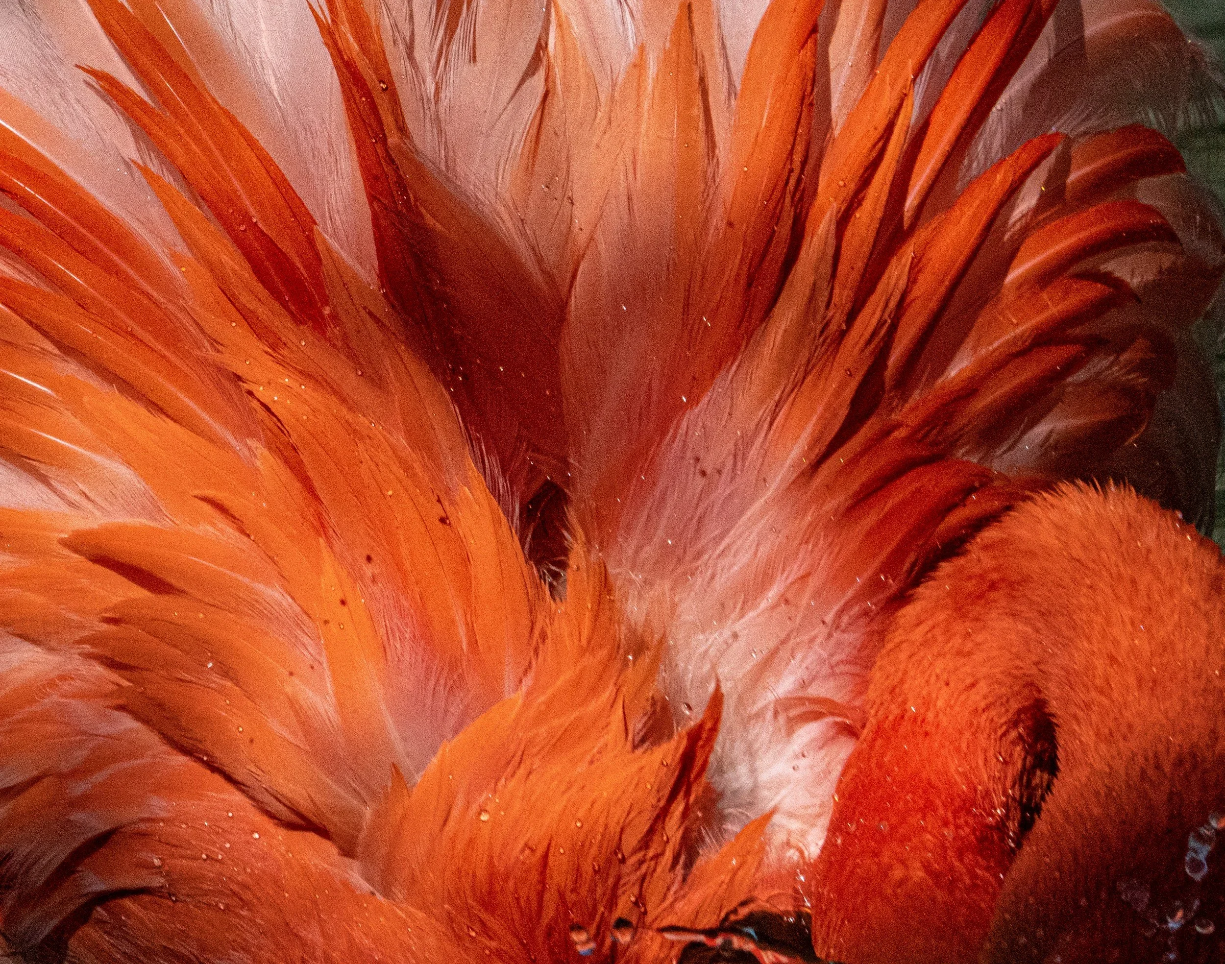 Redemption:The Power of Transmutation