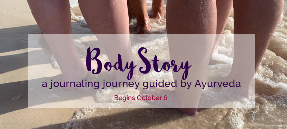 BodyStory graphic web.png