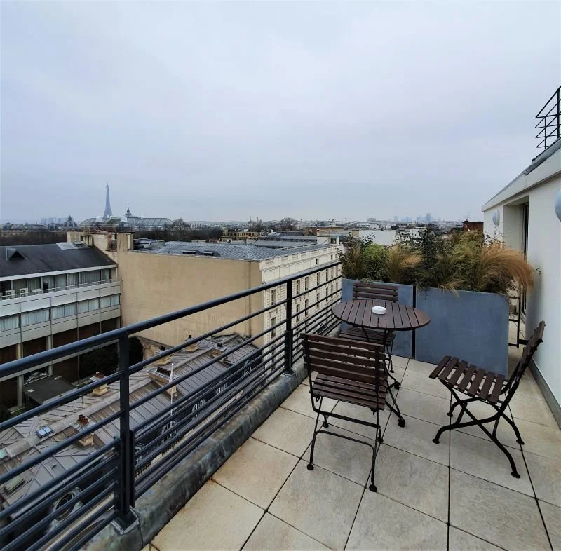 View of Paris under the winter sky