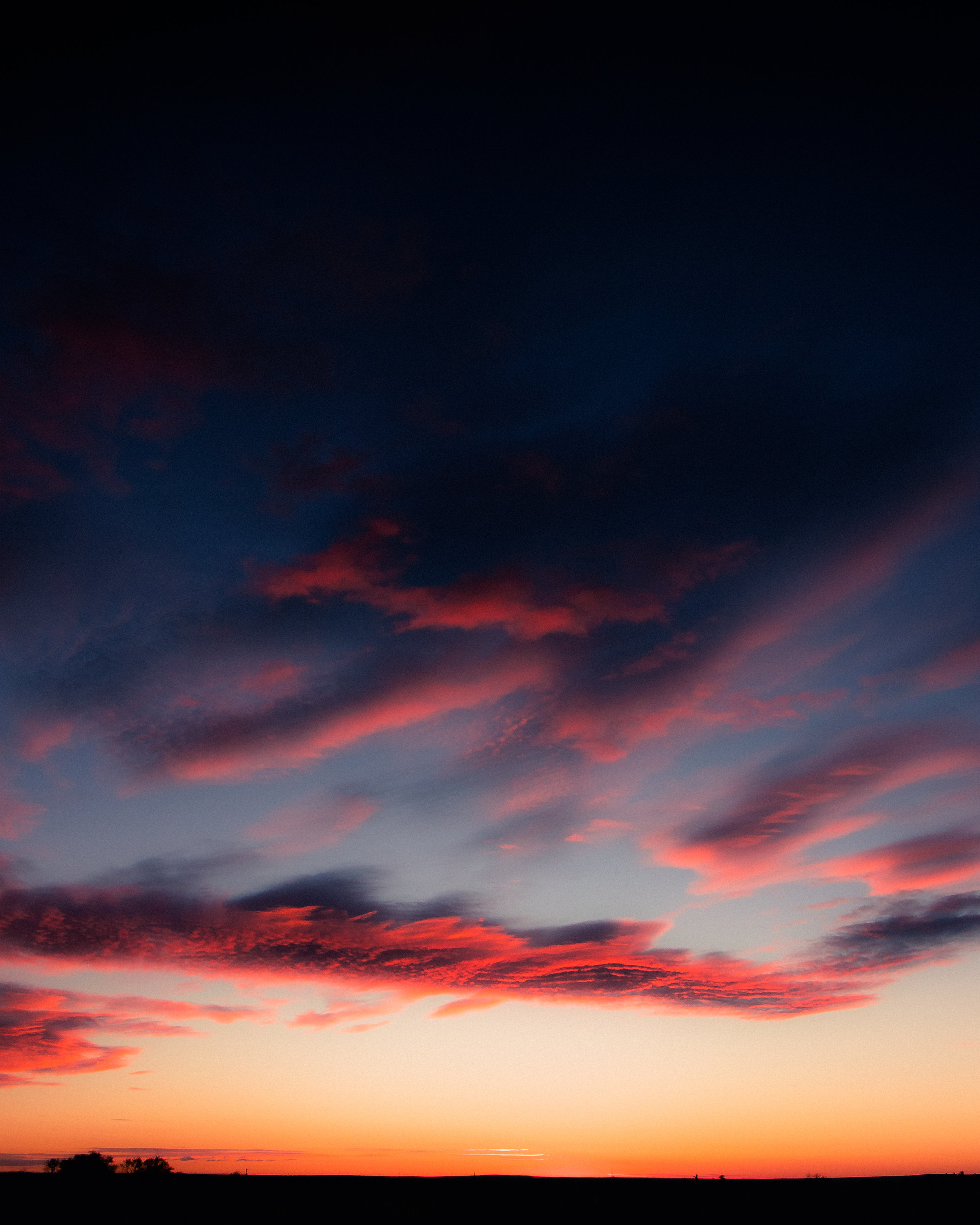cotton candy skies.