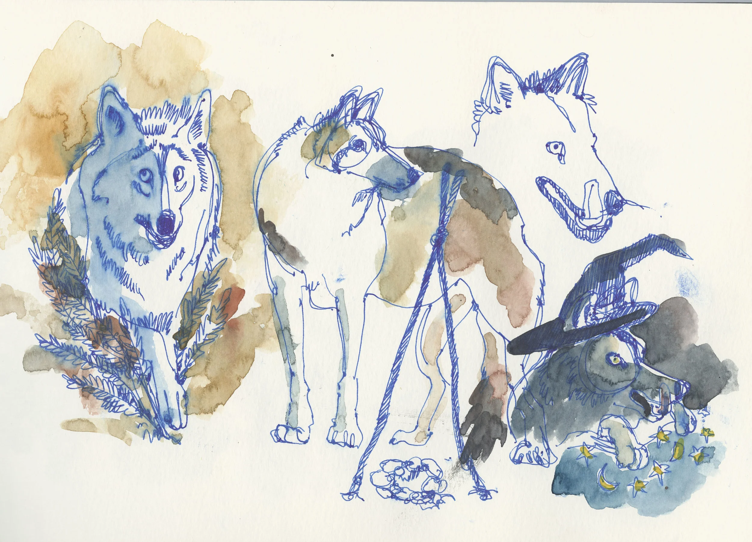 wolf character design.jpg