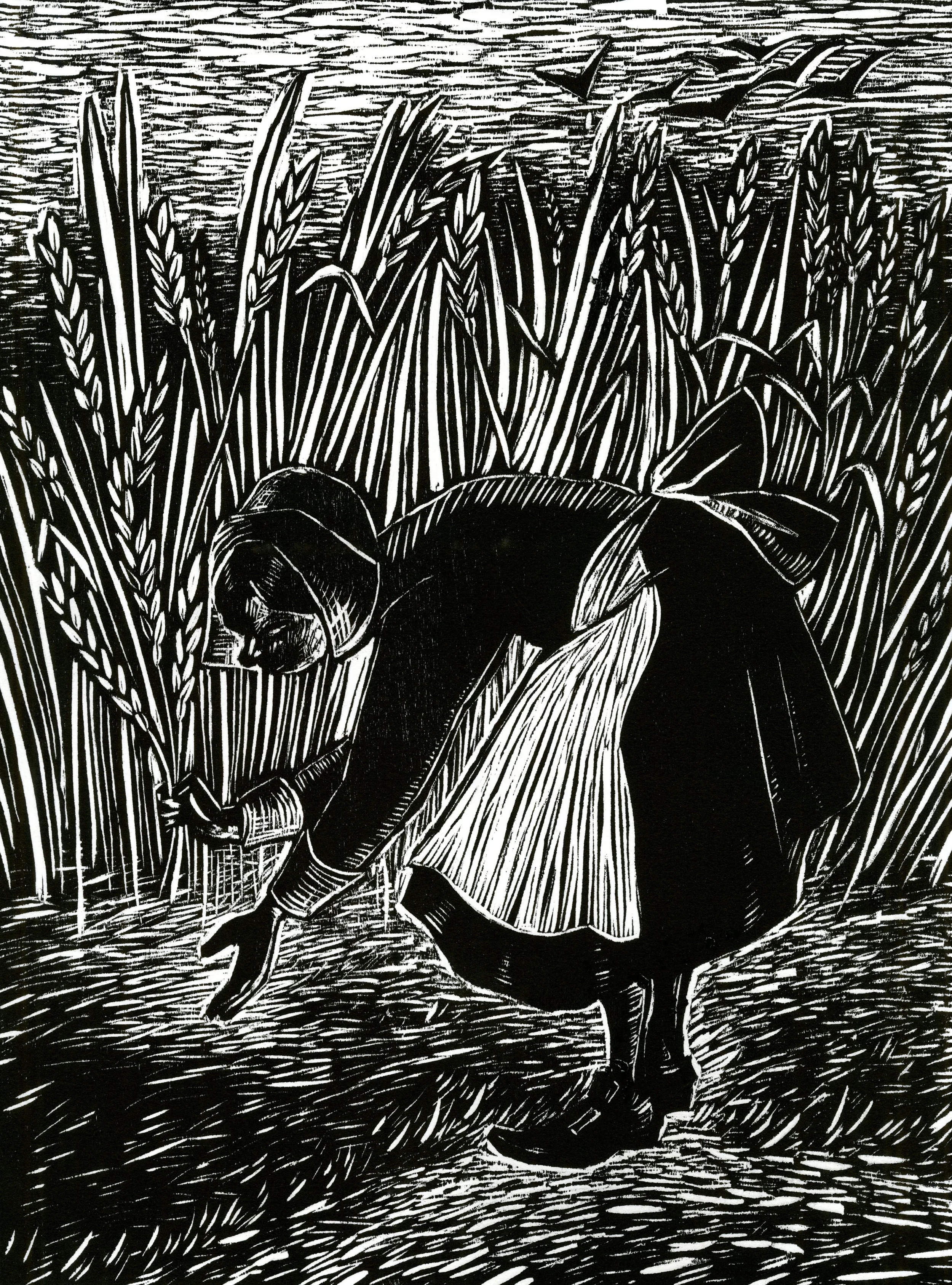 Little Red Witch Picking Rye