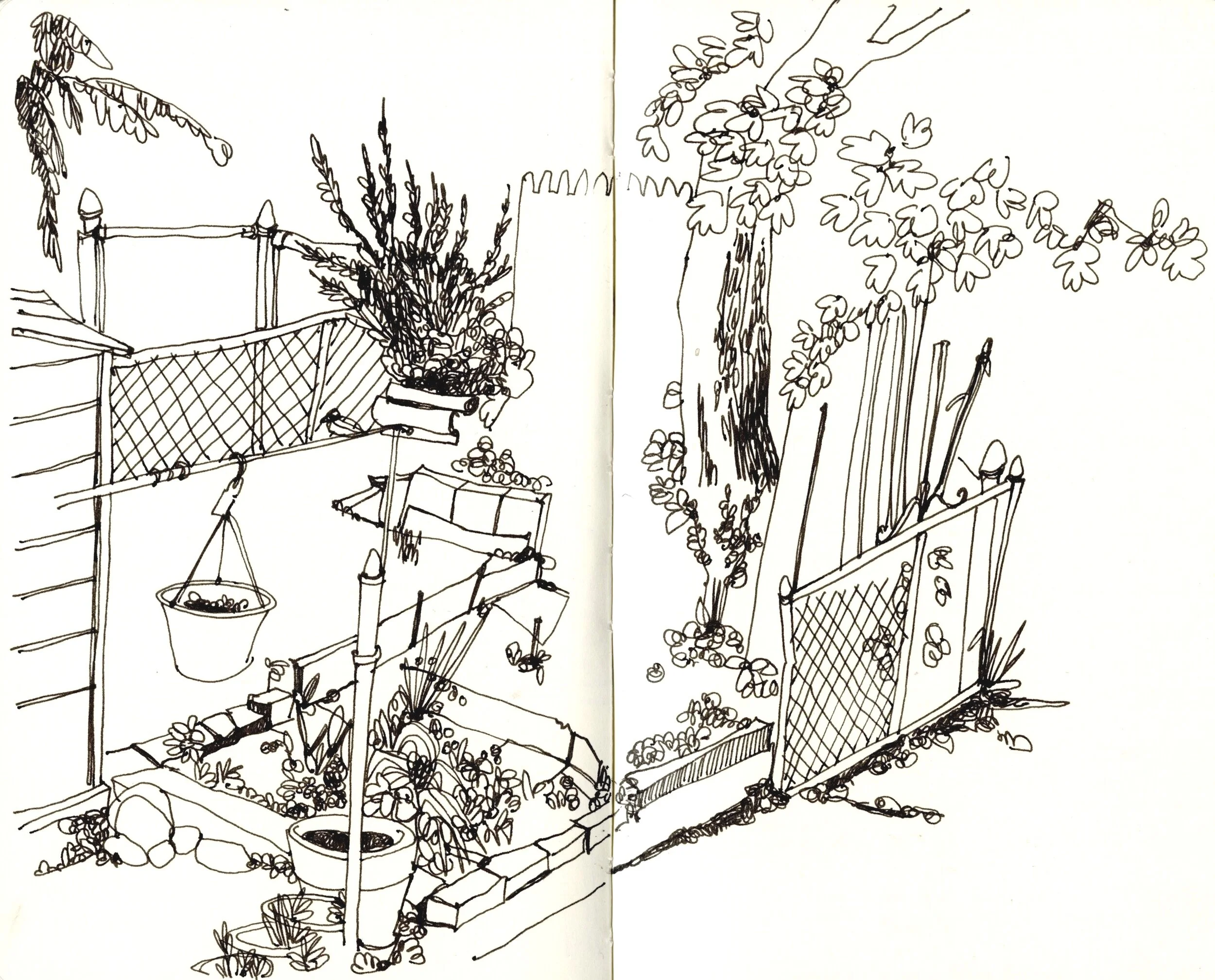 View Through Grandma’s Back Window