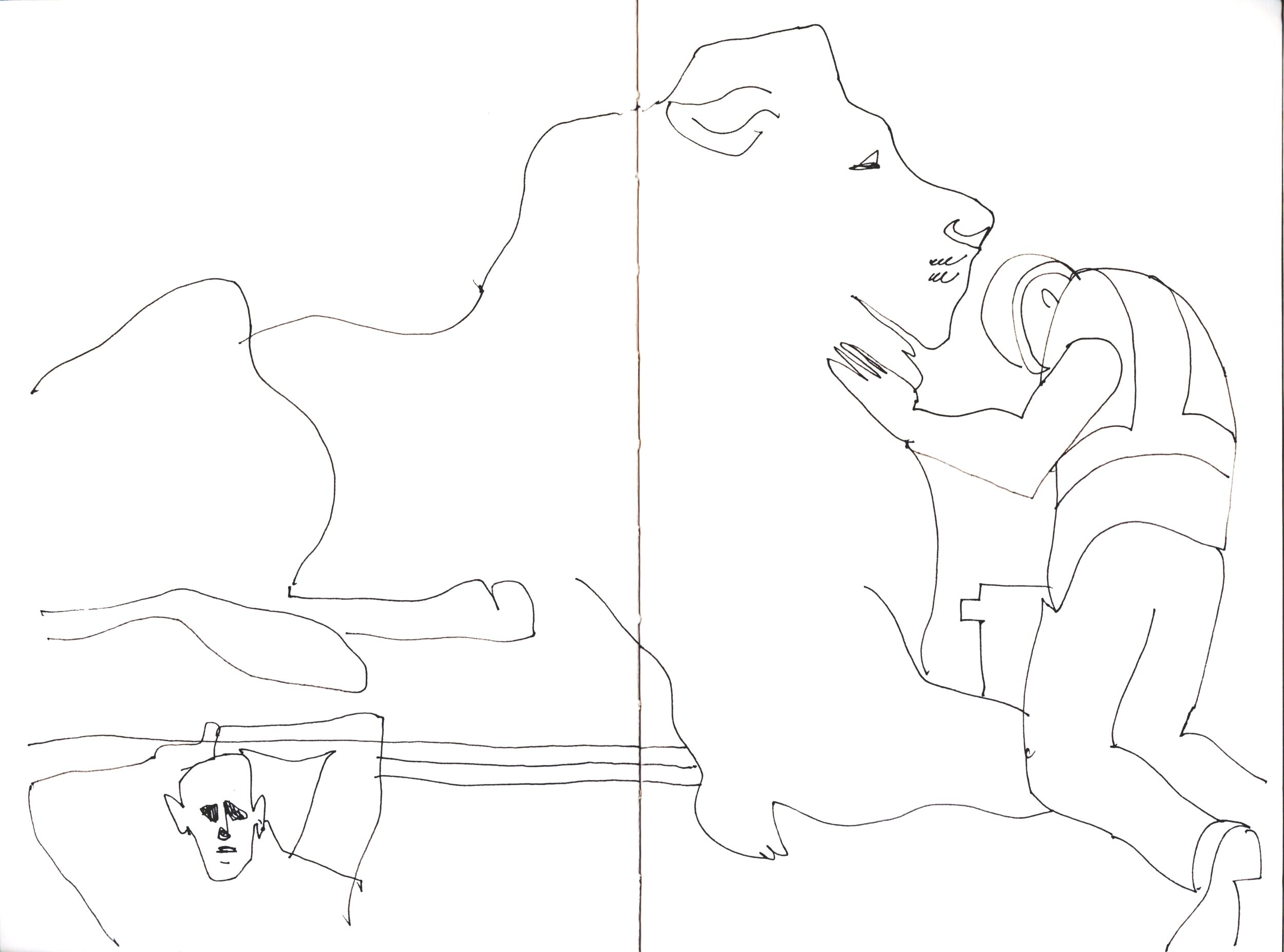 Fixing the New York Public Library's Lion