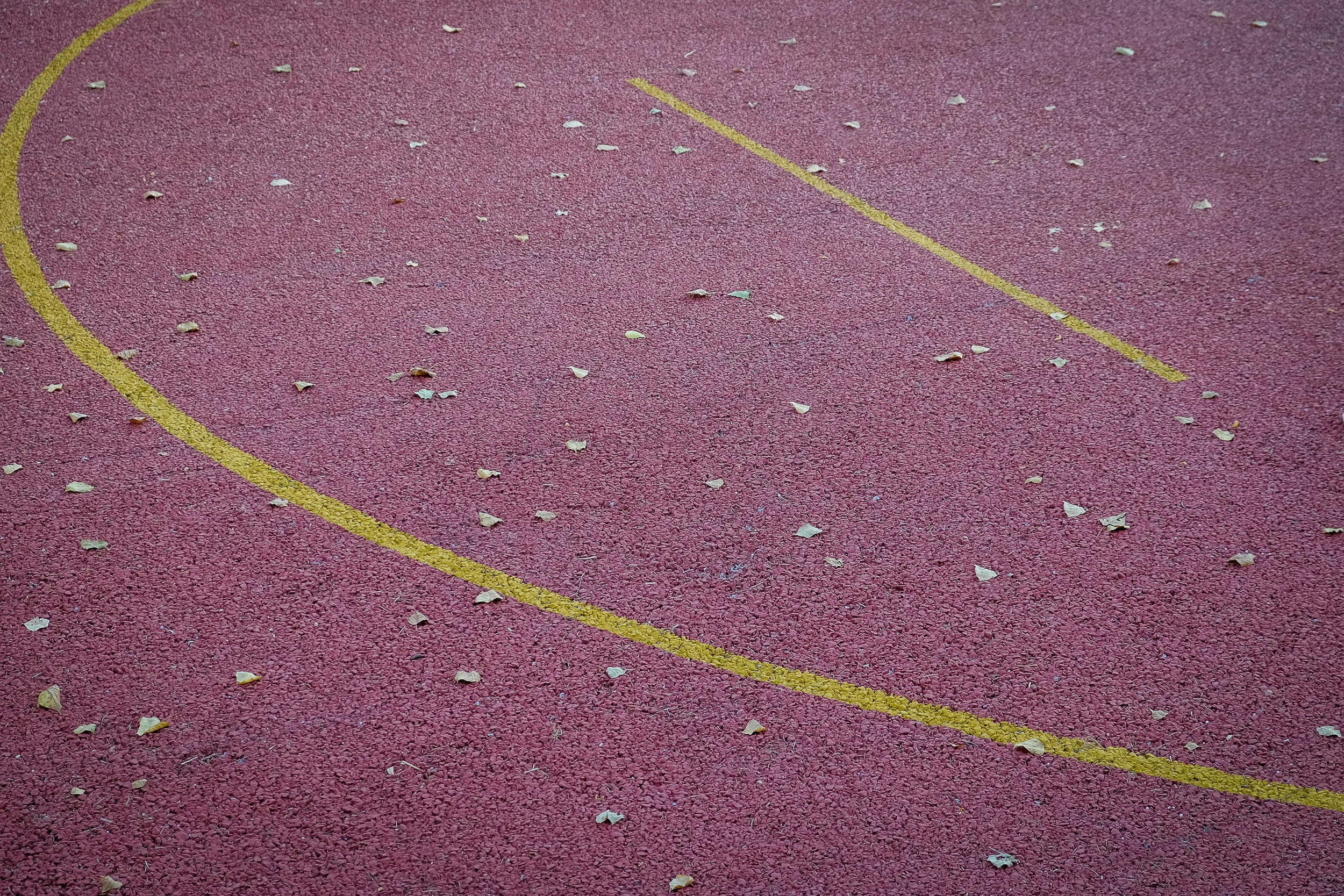 _DSF8827.jpg