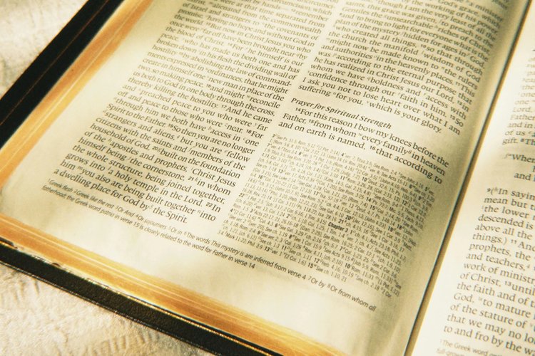 Open Bible