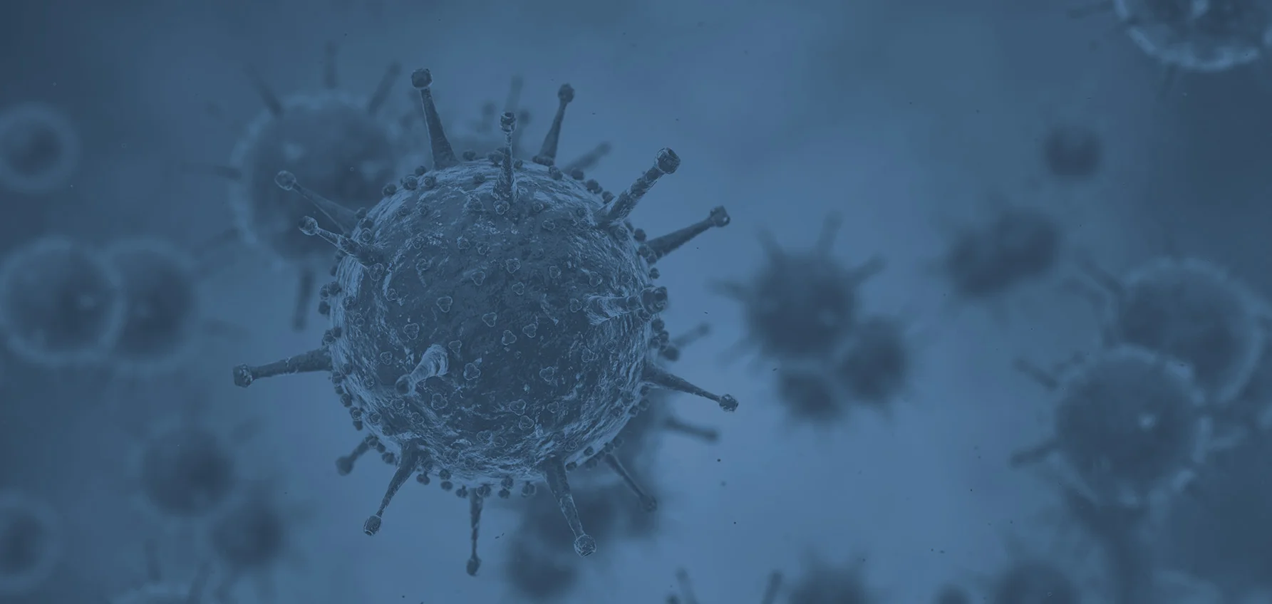 SFK_Virus_2.jpg