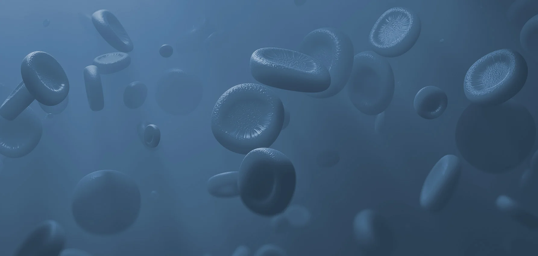 SFK_Plasma.jpg