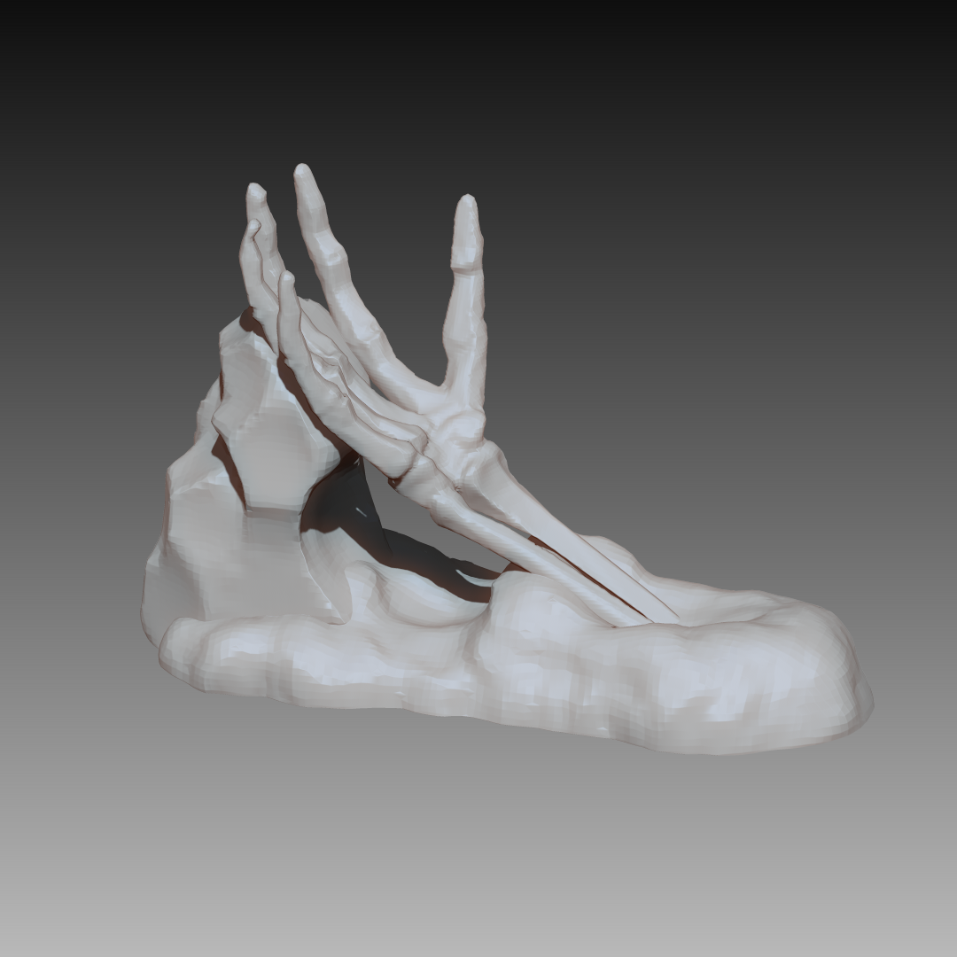 Hand Terrain 1.png