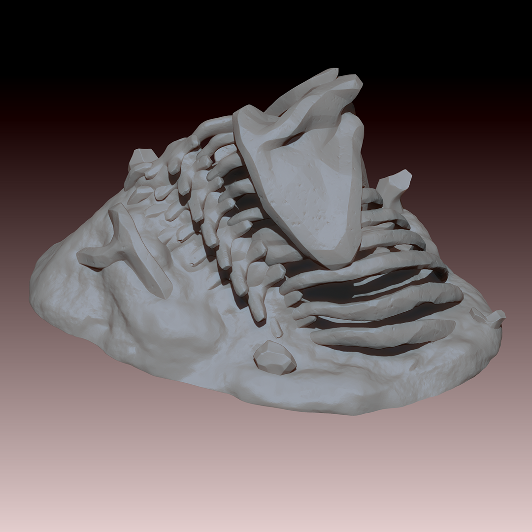 Ribs3.png