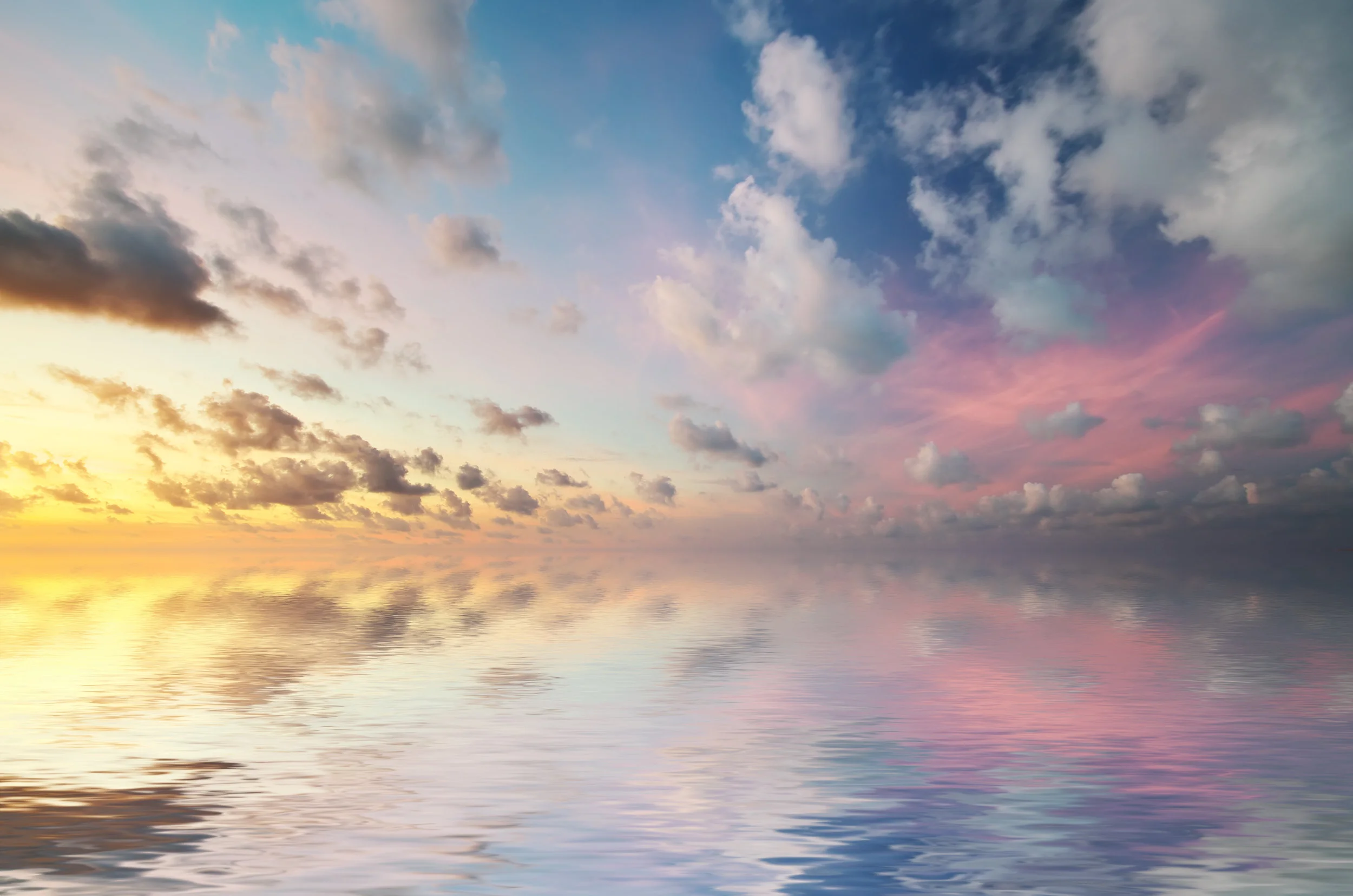 Consciousness in Service to Sentience 