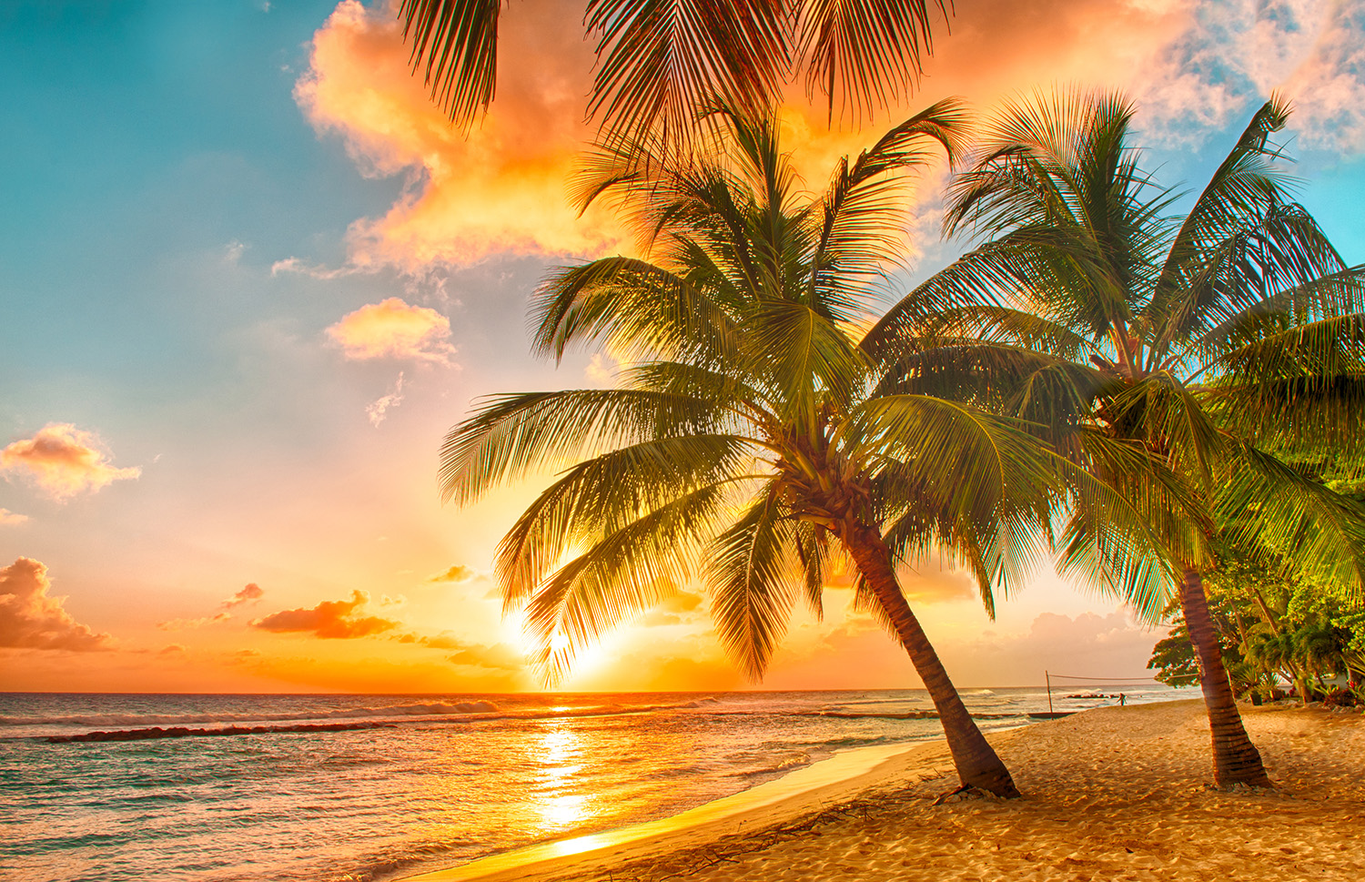 medical travel shield - barbados insurance.jpg