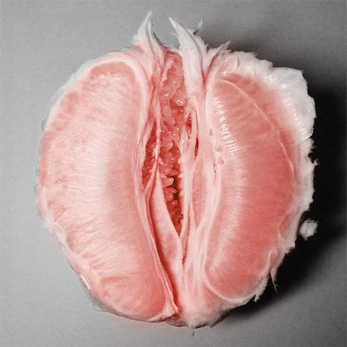 pink clementine.jpg