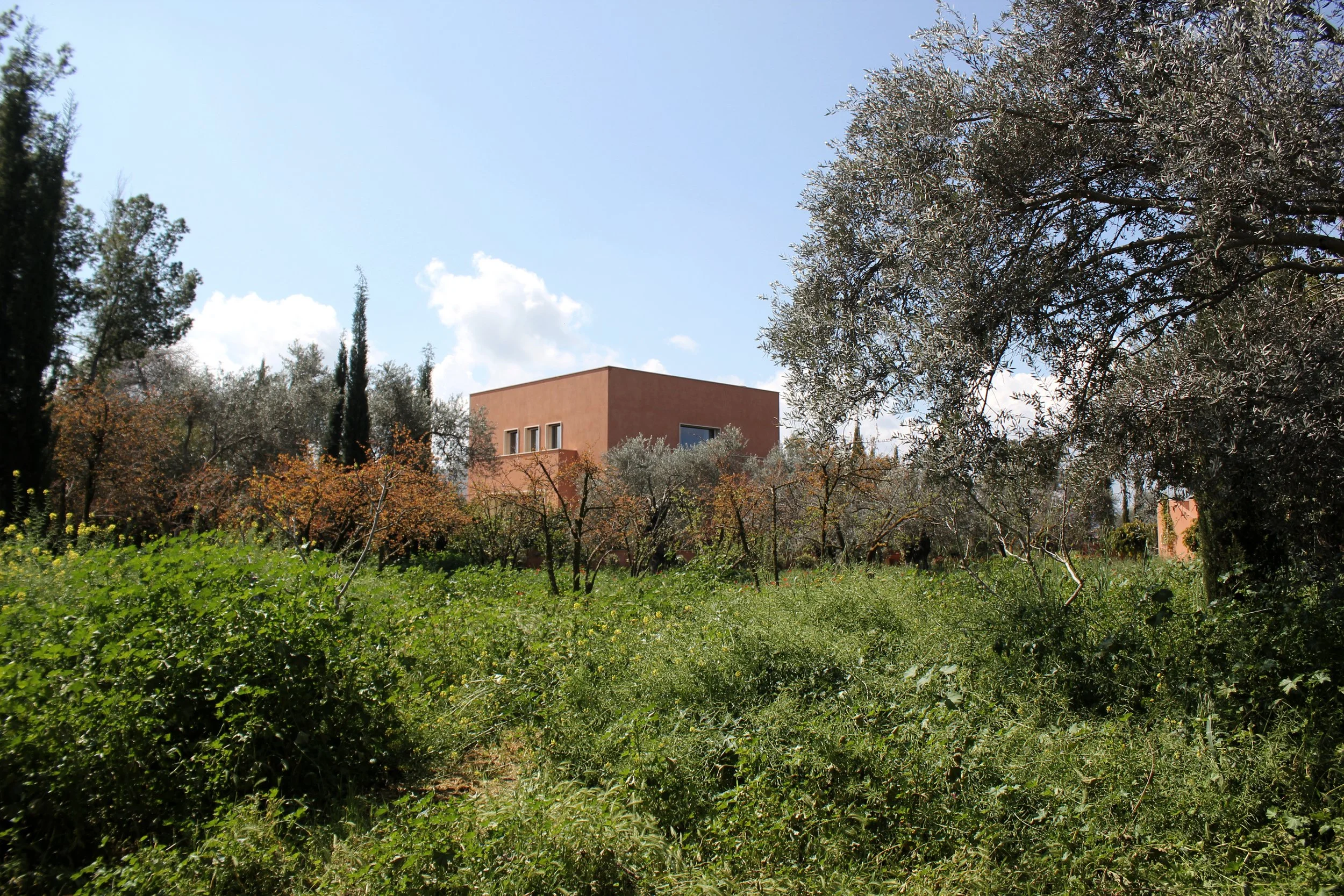 country-villa-nicosia-olive-grove-setting3.jpg