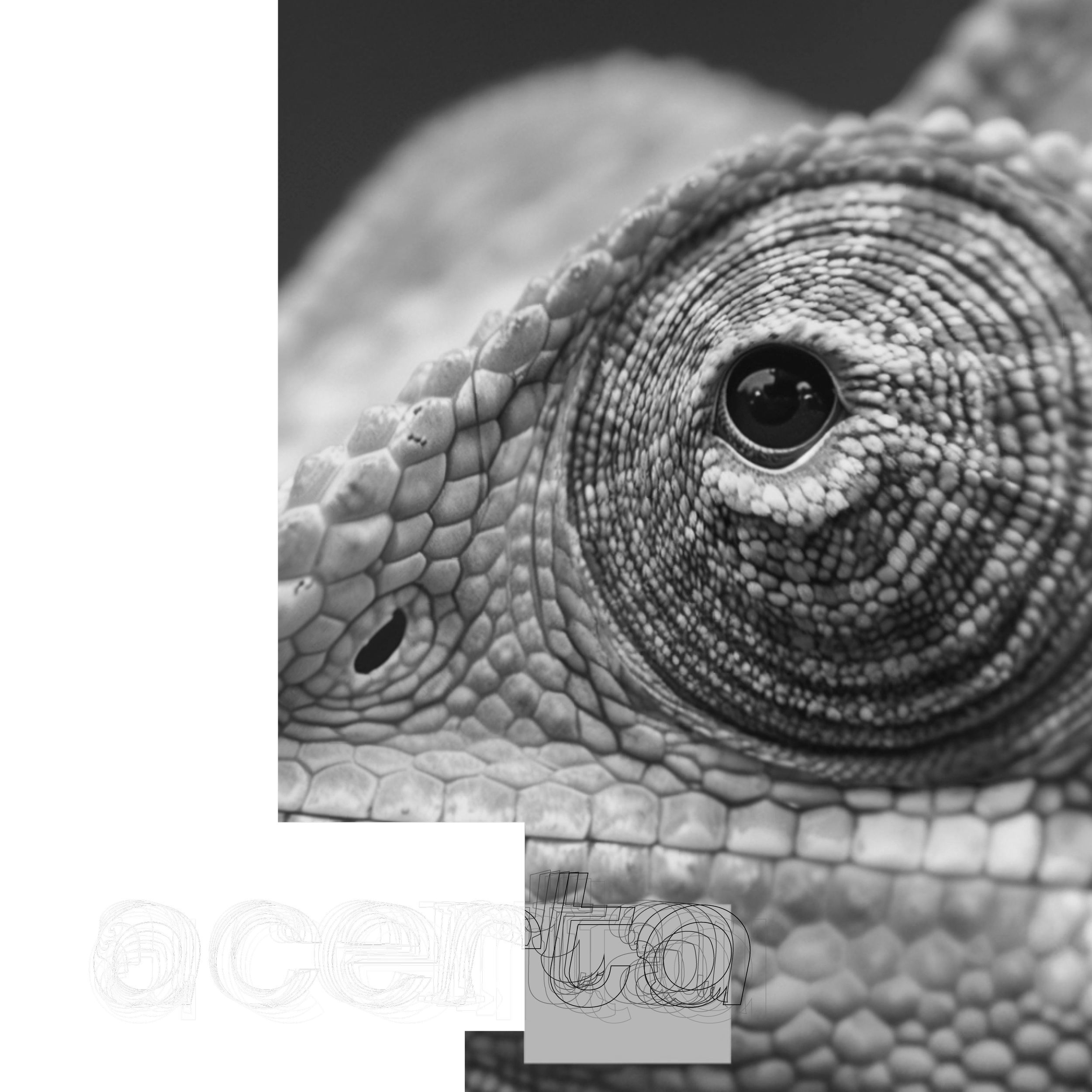 TILE ACERTA.png