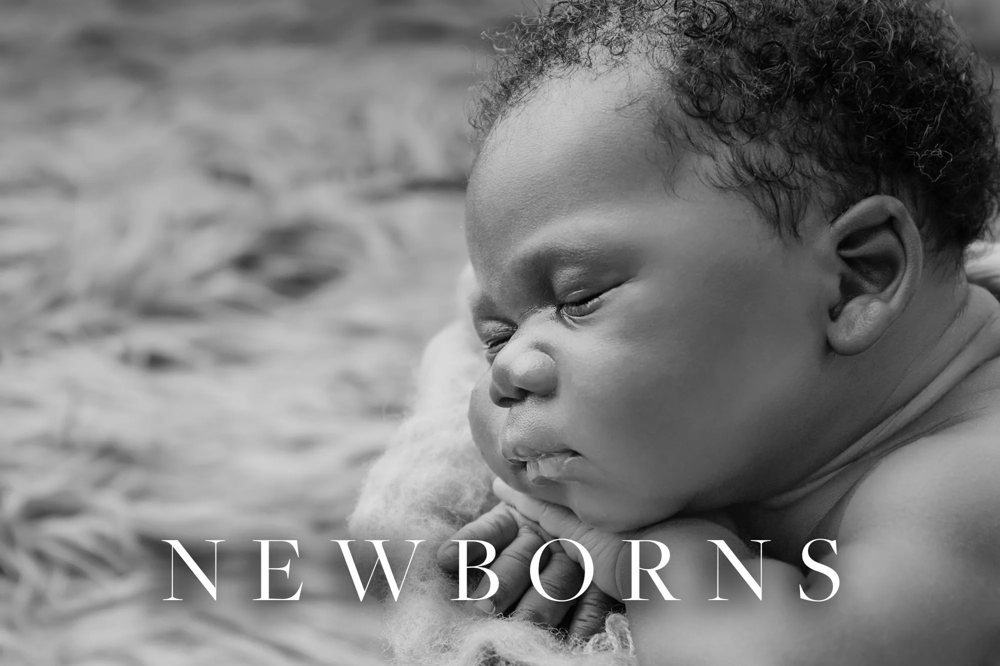 newborns.jpg