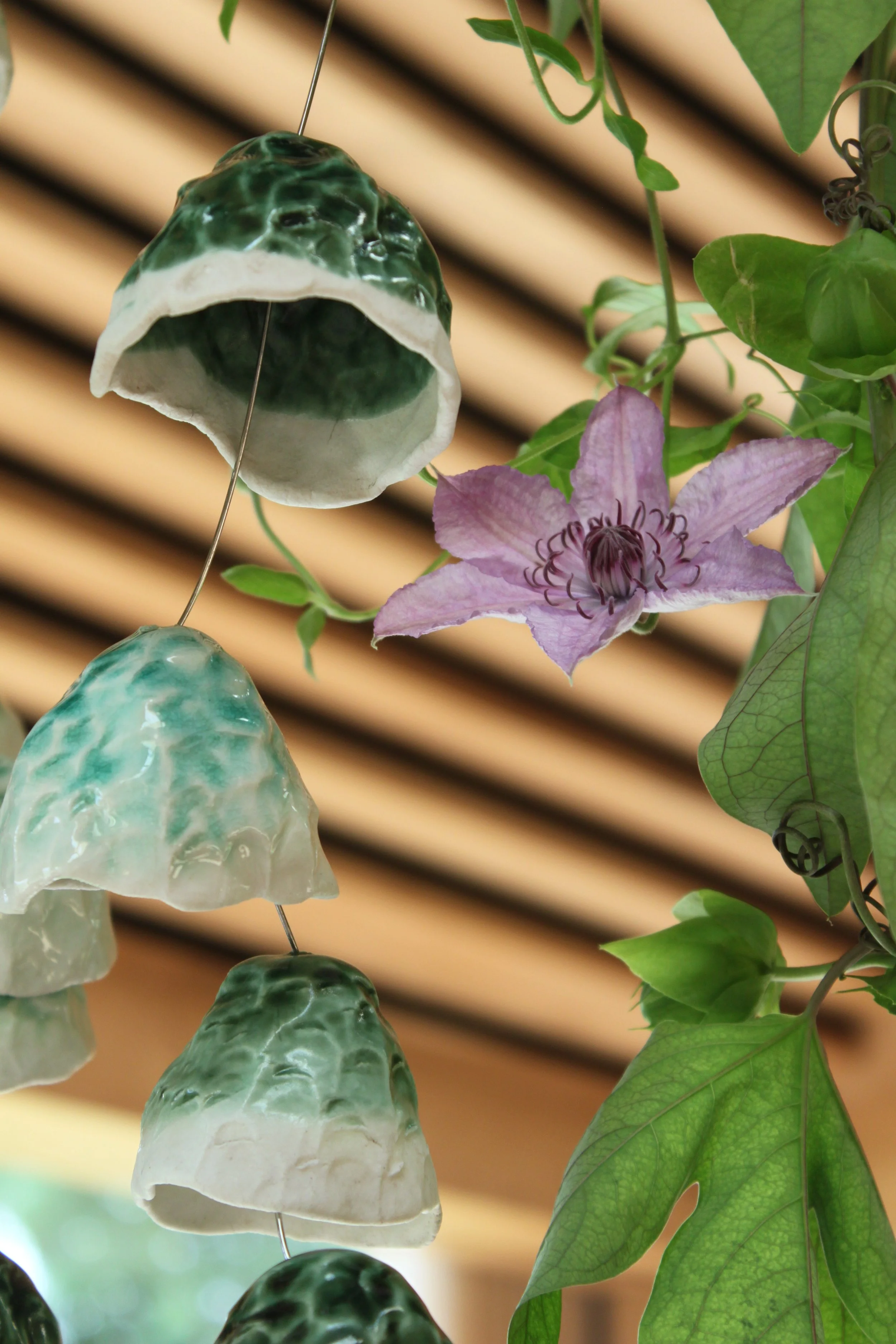 Noma Vegetable season