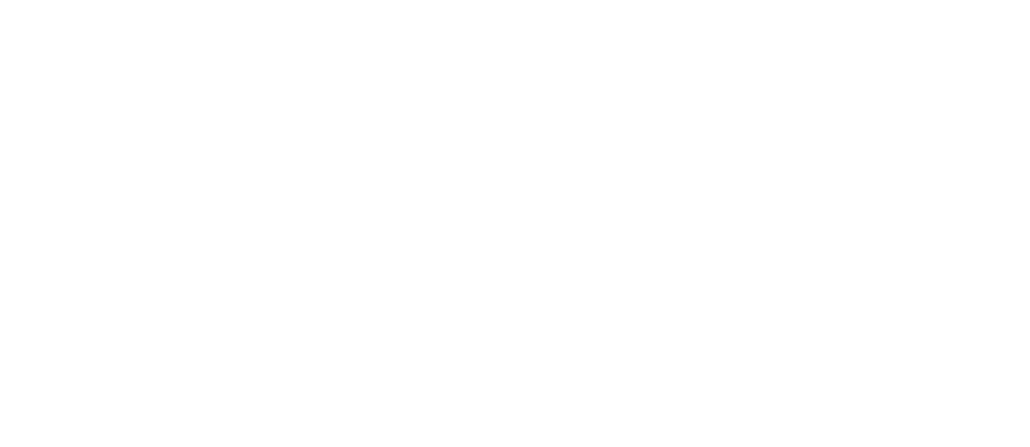 Ian Millner Ceo Of Iris Worldwide Another Startup Story