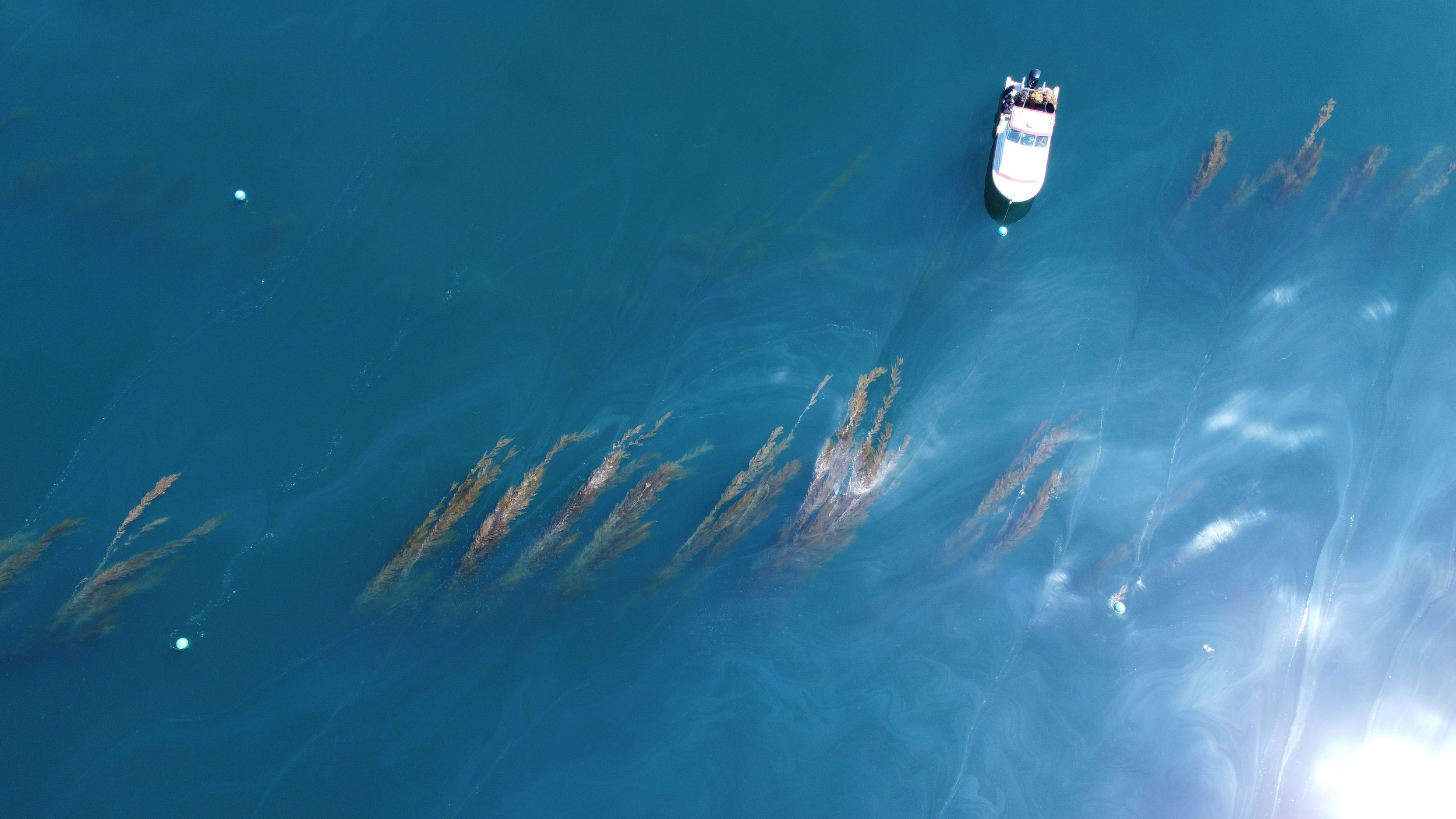 DJI_0729.JPG
