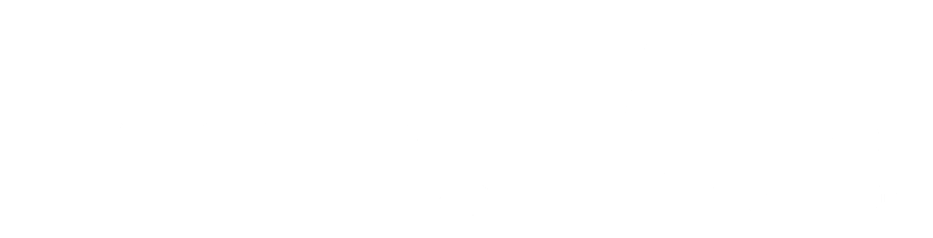AMUSA LENDVER.png