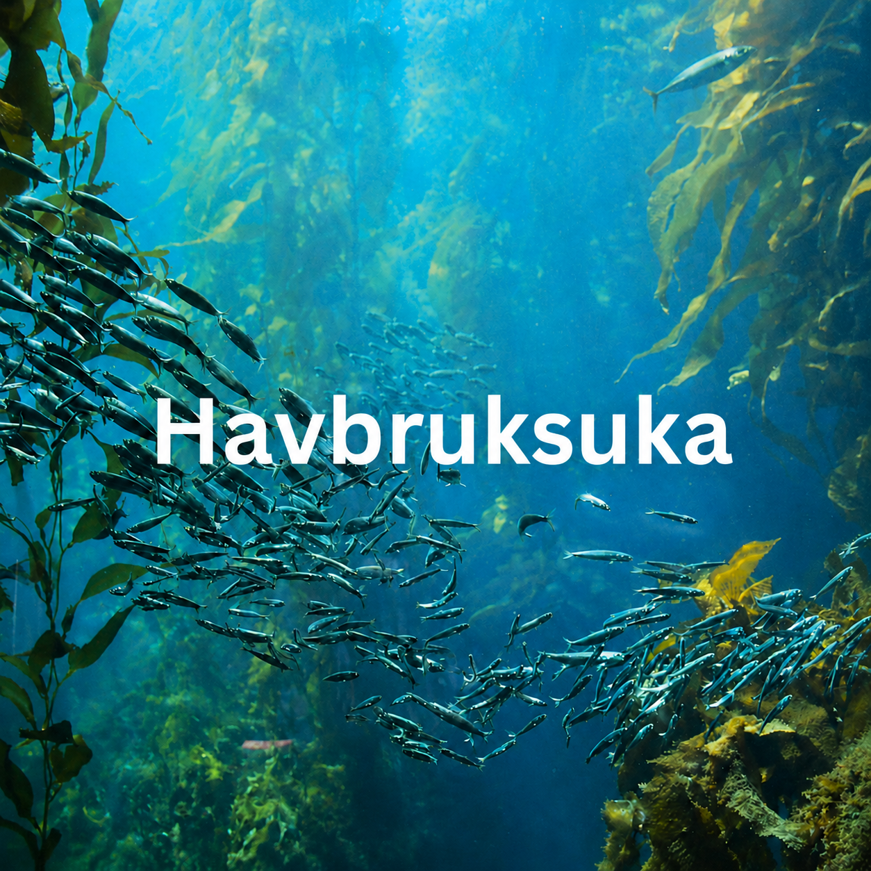 Havbruksuka 2026: 13. -29. oktober
