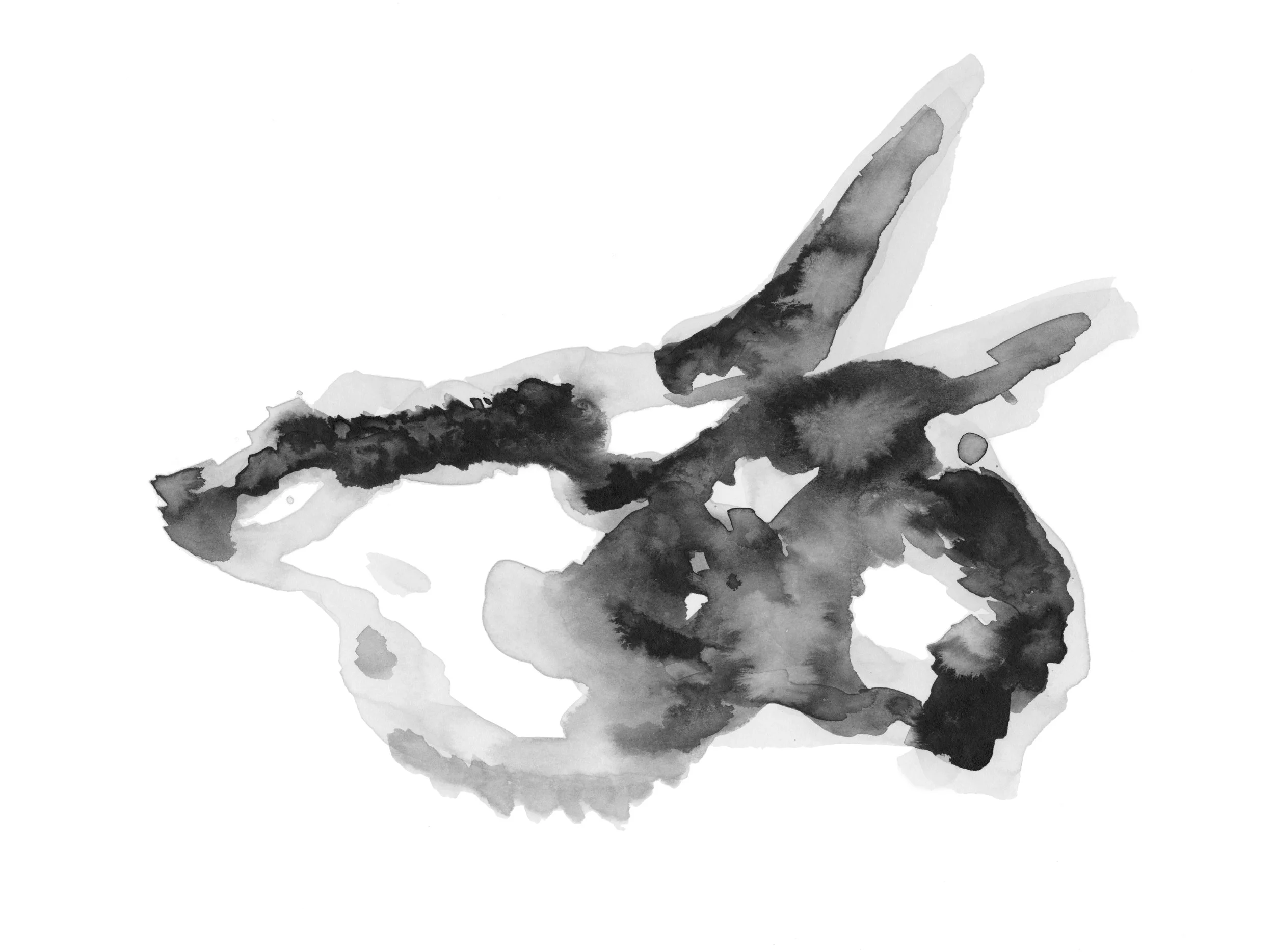 Incertae Genera (2018)
