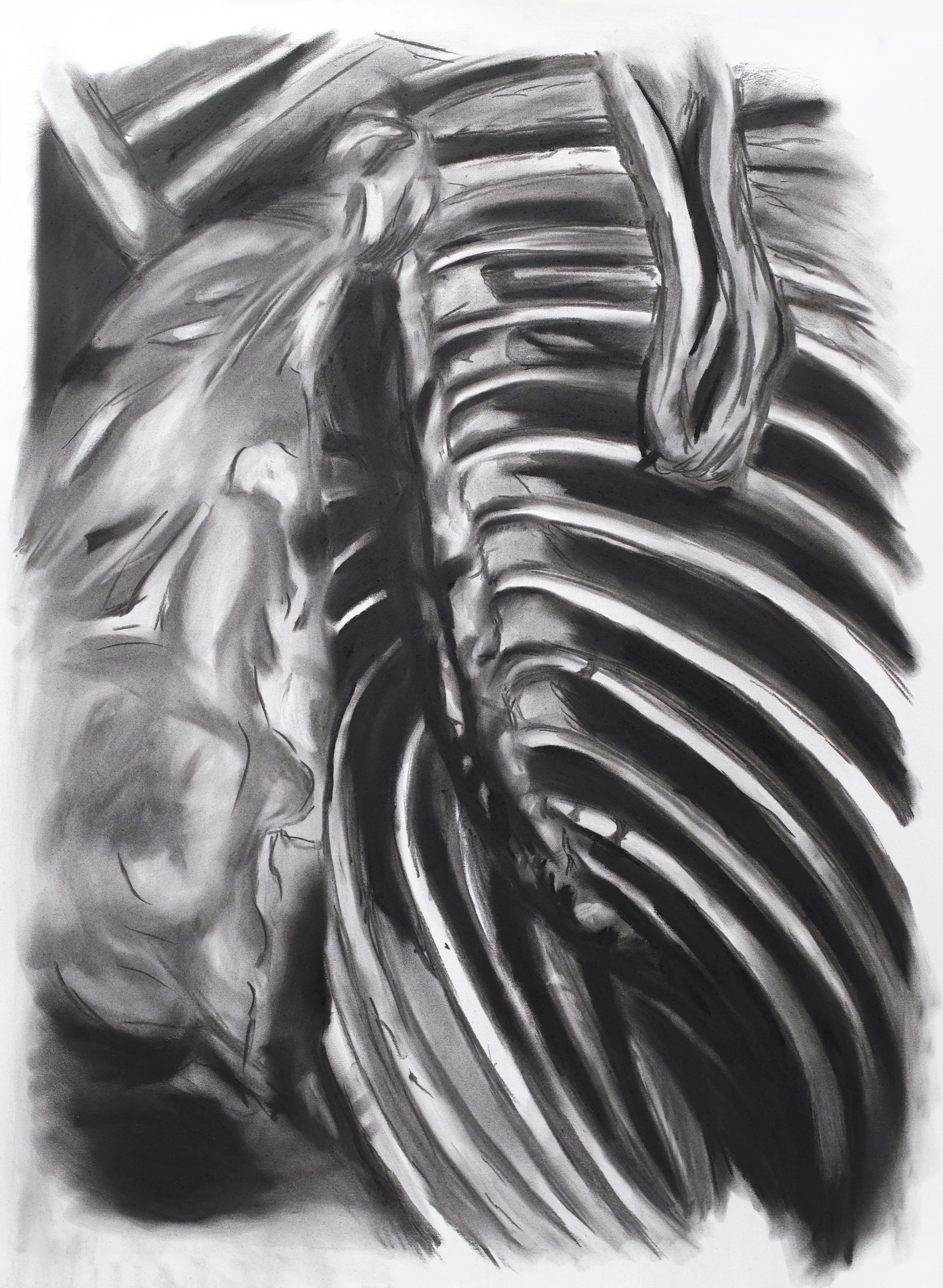 Z-Oosthuysen_Only-a-matter-of-time-2023-charcoal-on-paper_.jpg