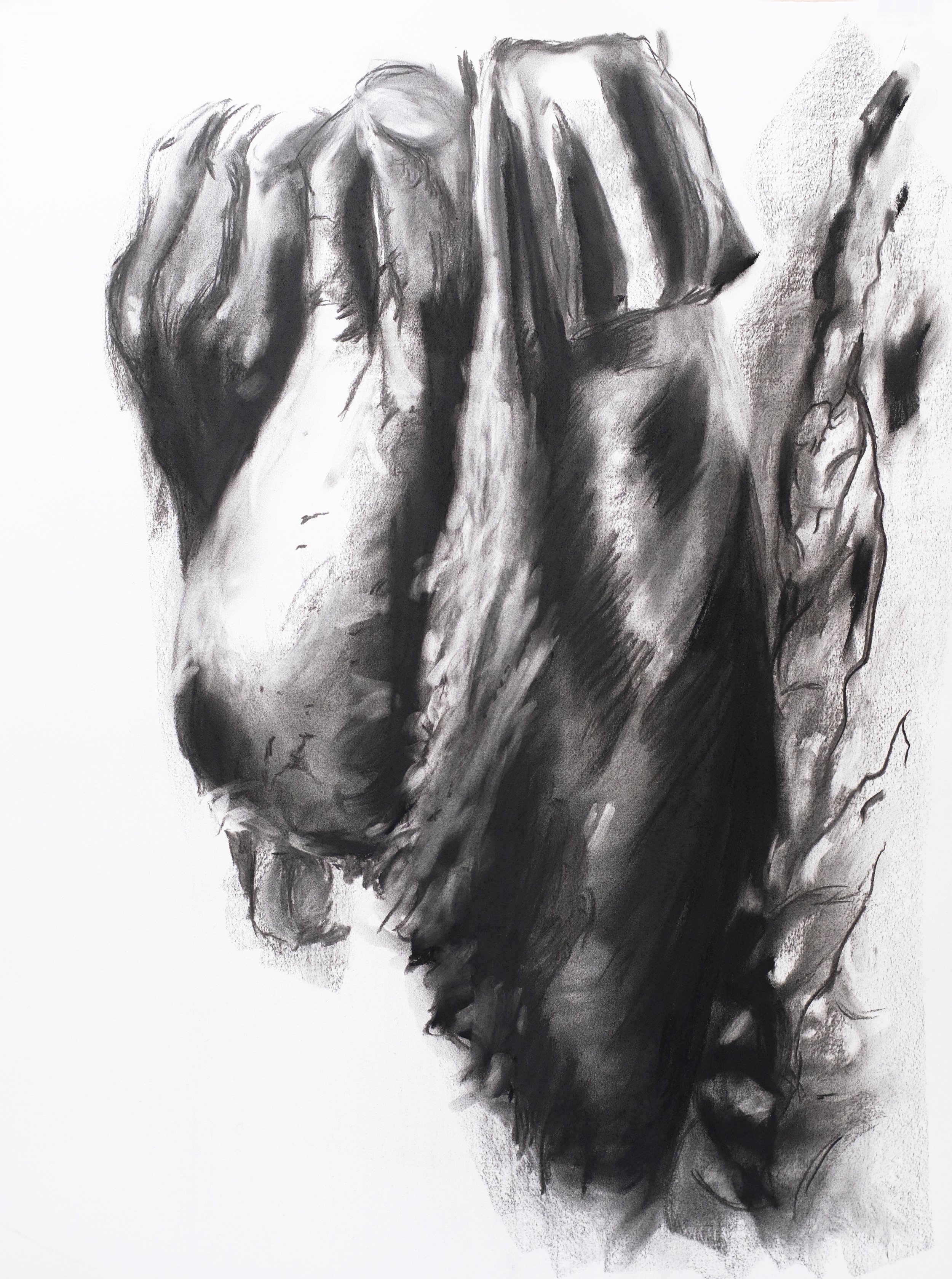 Z-Oosthuysen_Flesh-and-skin-covered-them,-but-there-was-no-breath-in-them-2023_Charcoal-on-paper.jpg