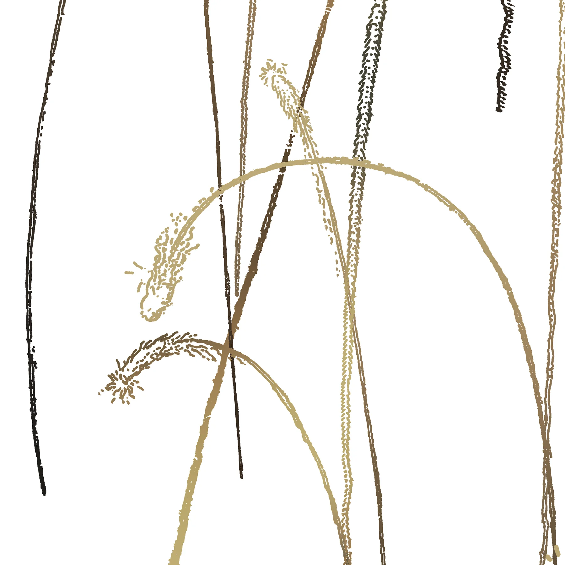 FEUX D'ARTIFICE - WHITE GOLD