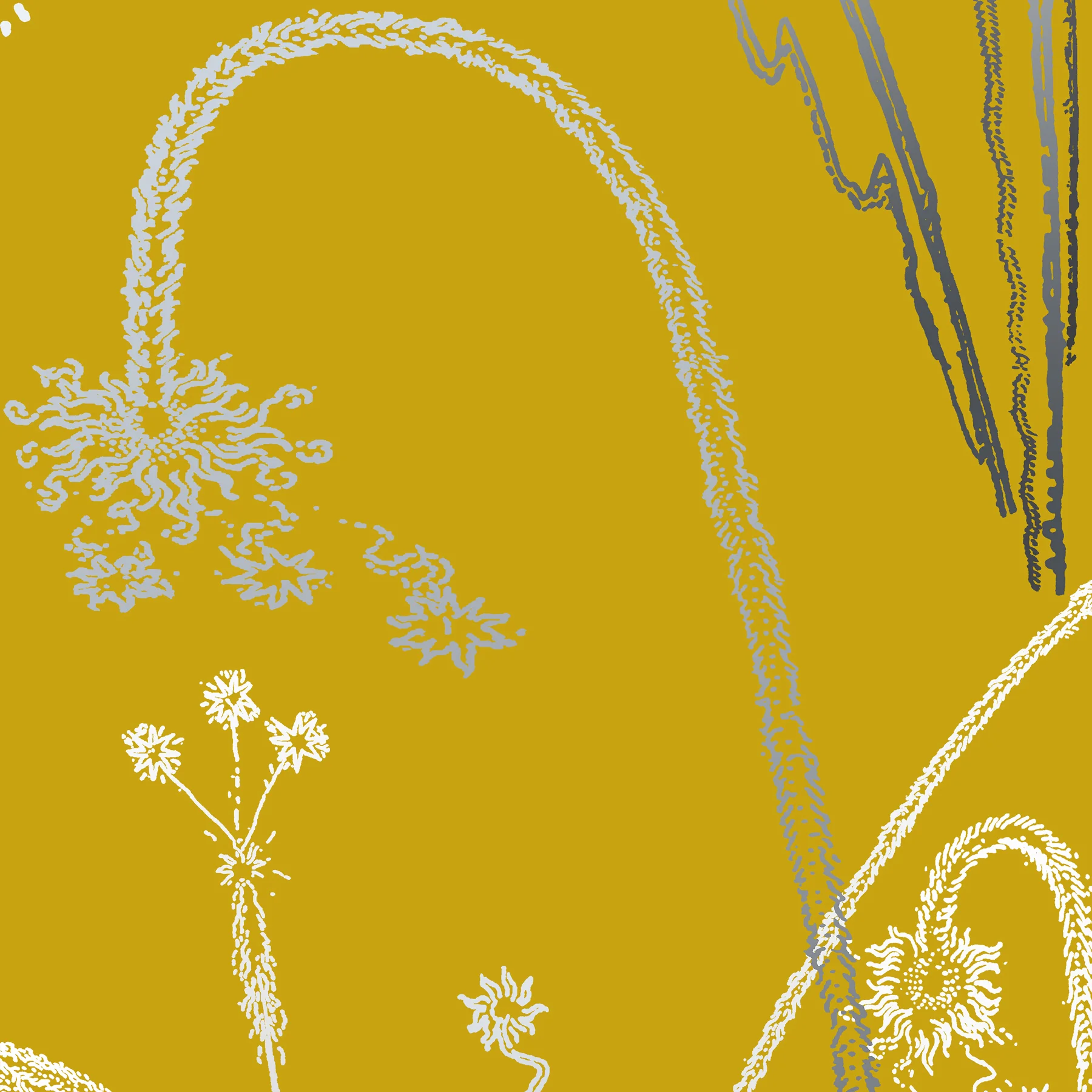 FEUX D'ARTIFICE - TURMERIC
