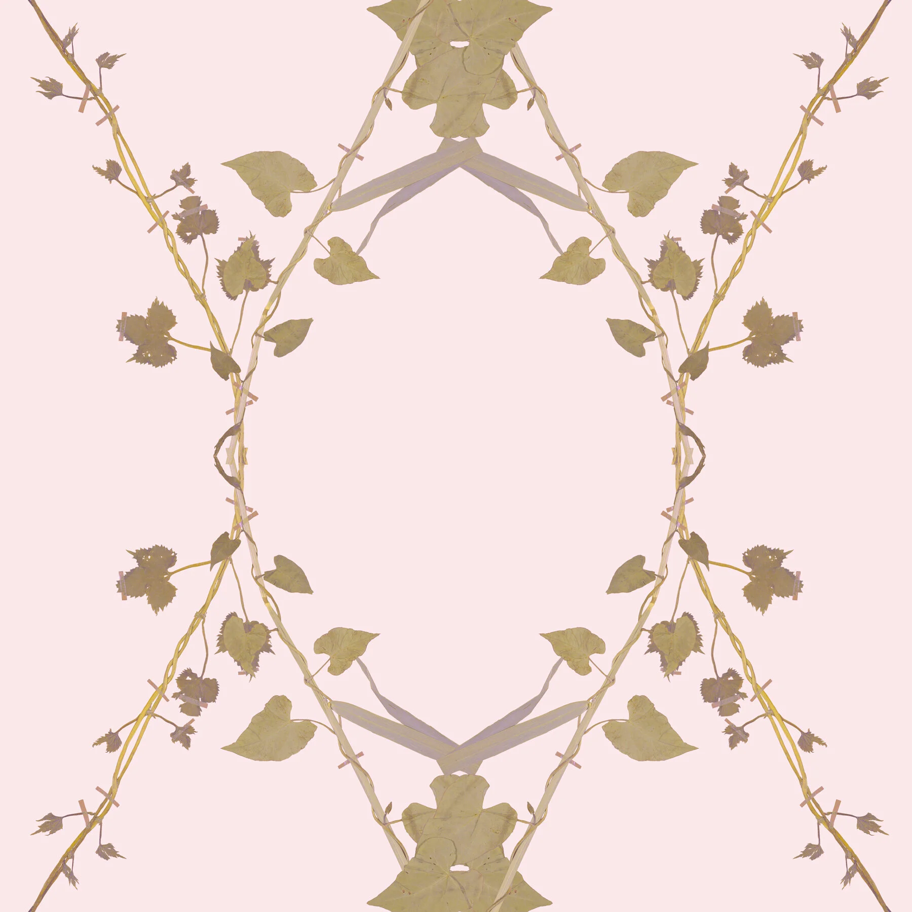 Wallpaper Samples (MG)