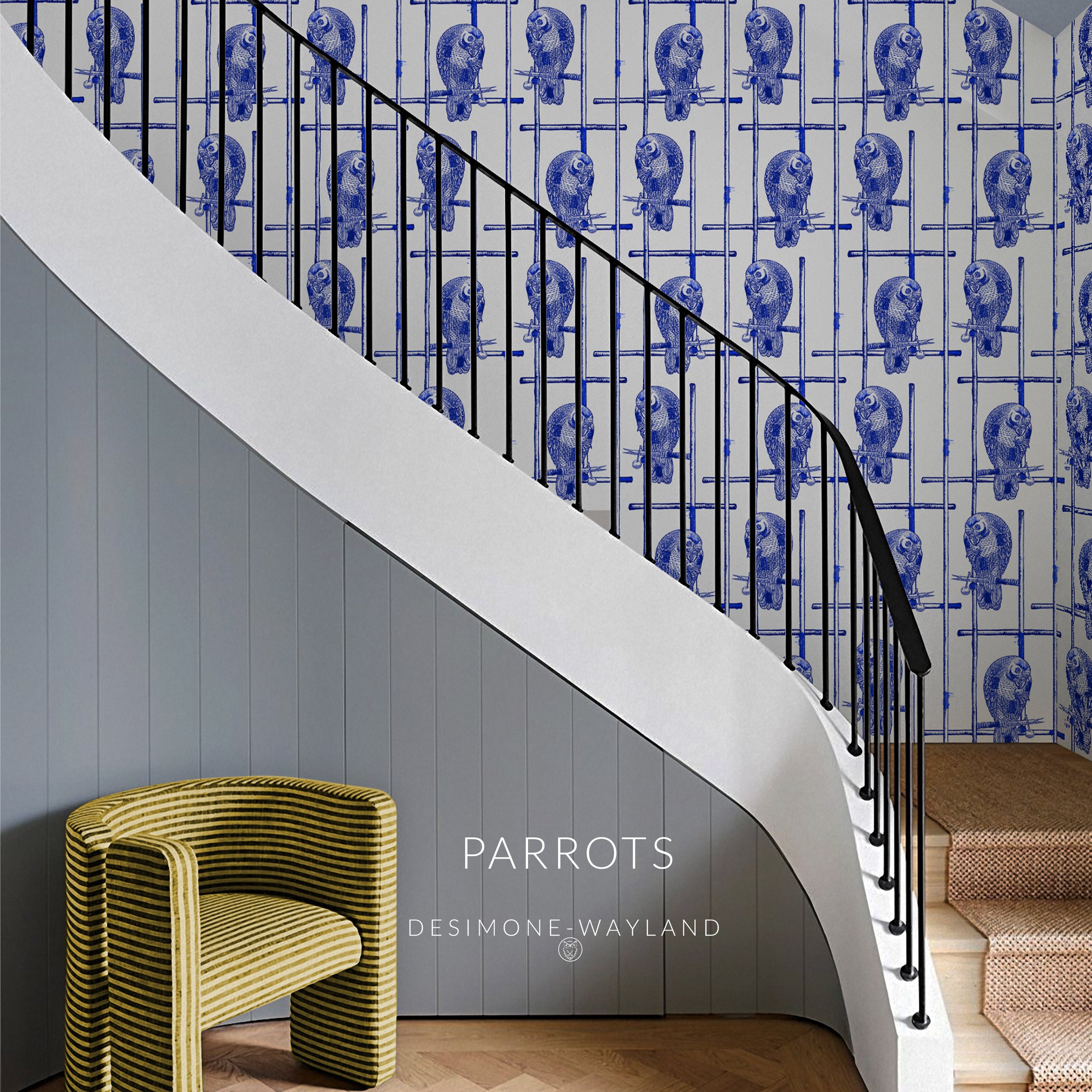 Parrots+house-stairsSQ.jpg