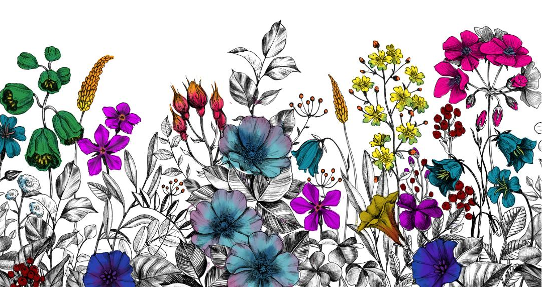 back design.png
