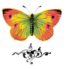 butterfly.png