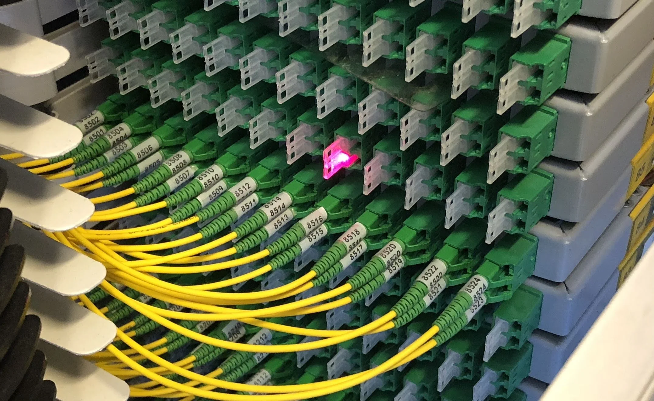 Fiber.jpg