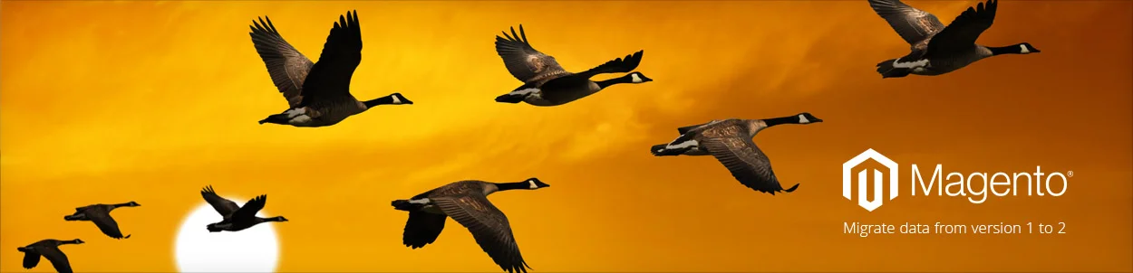 Migrate-data-from-Magento-1-to-Magento-2-with-Magement.jpg