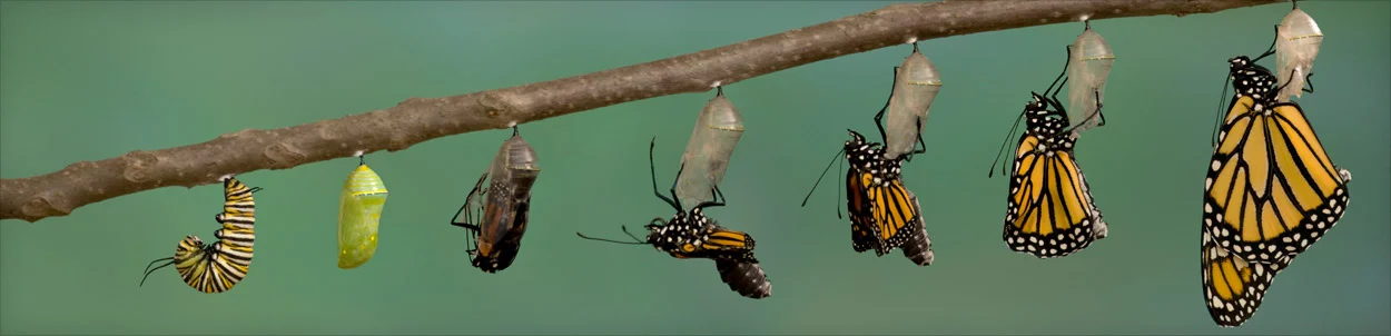 Magement-Deep-Dive-a-Basic-Data-Transformer.jpg