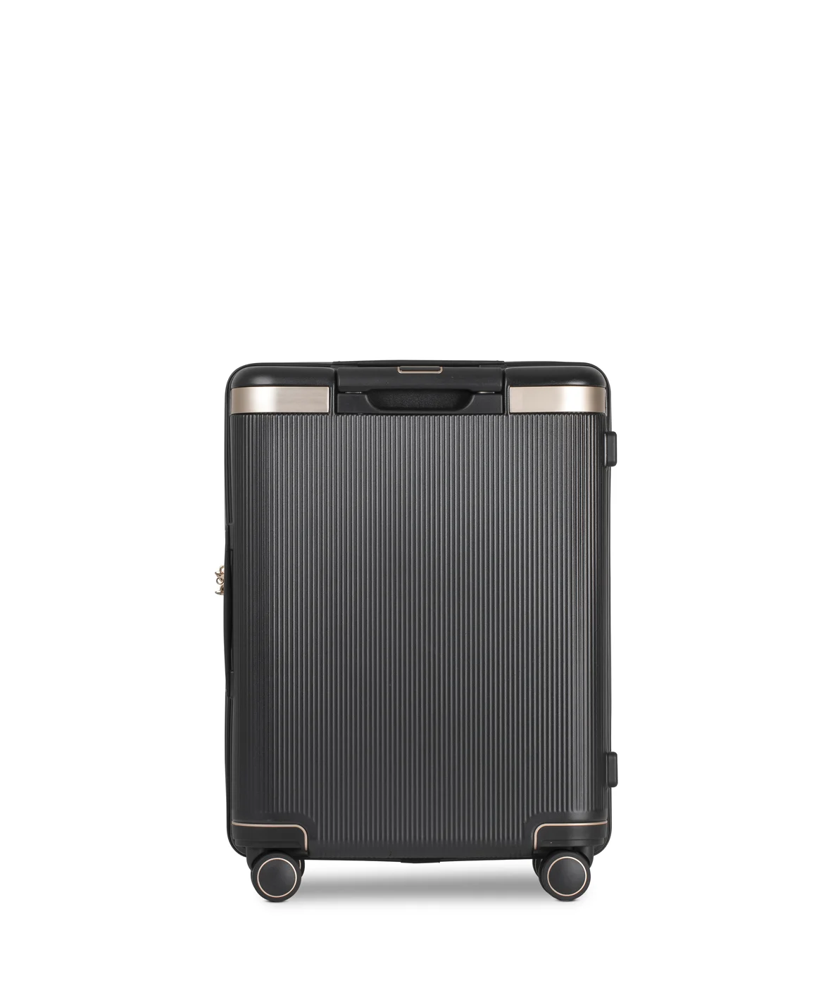 Echolac_DYNASTY_Black_55cm_06.jpg