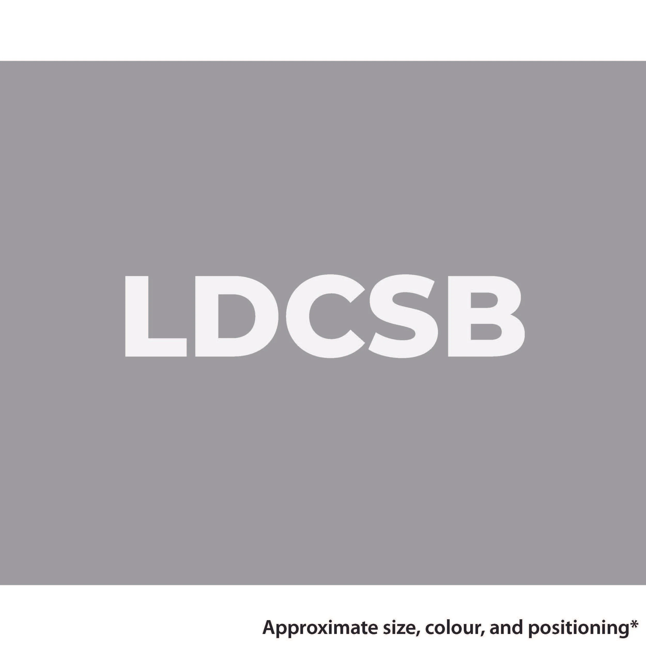 LDC item 2_Page_3.jpg