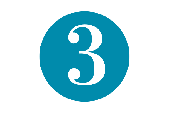 ICON step 3.png