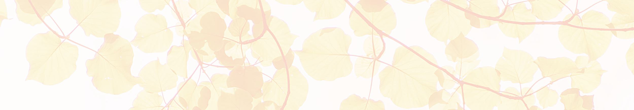 Floral Pink Background.png