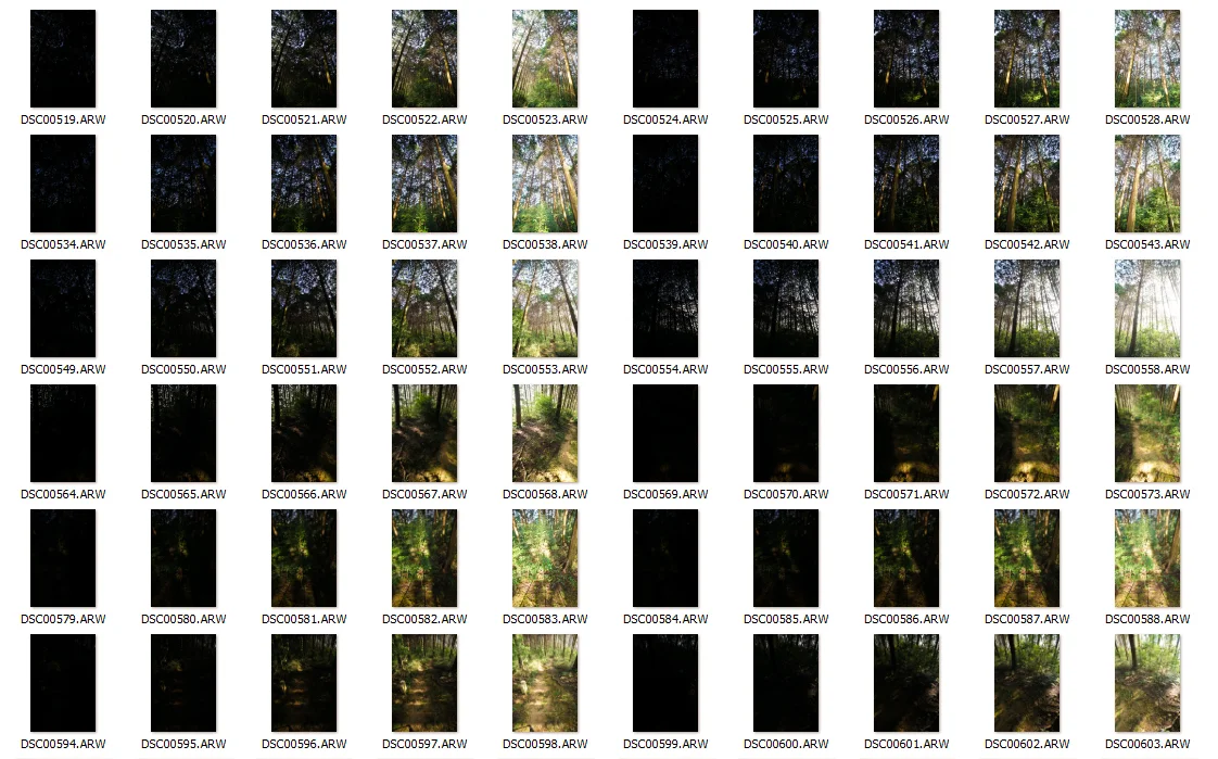Just a small part of the 170 RAW source images for a HDR forest panorama.