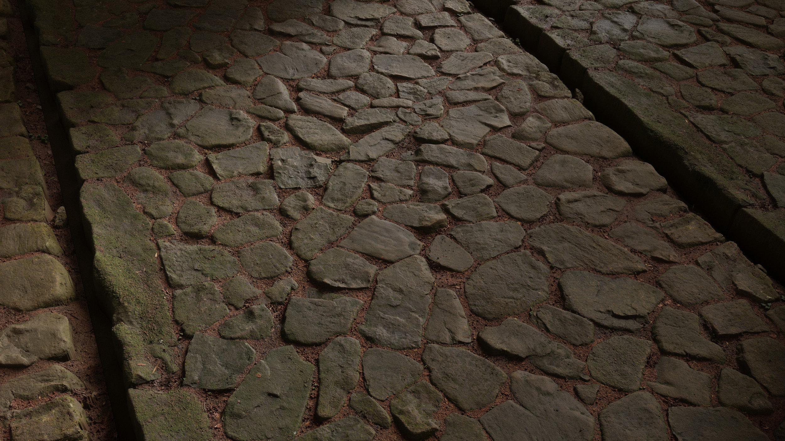 TexturesCom_Forest_Cobblestone_04_Path_header.jpg