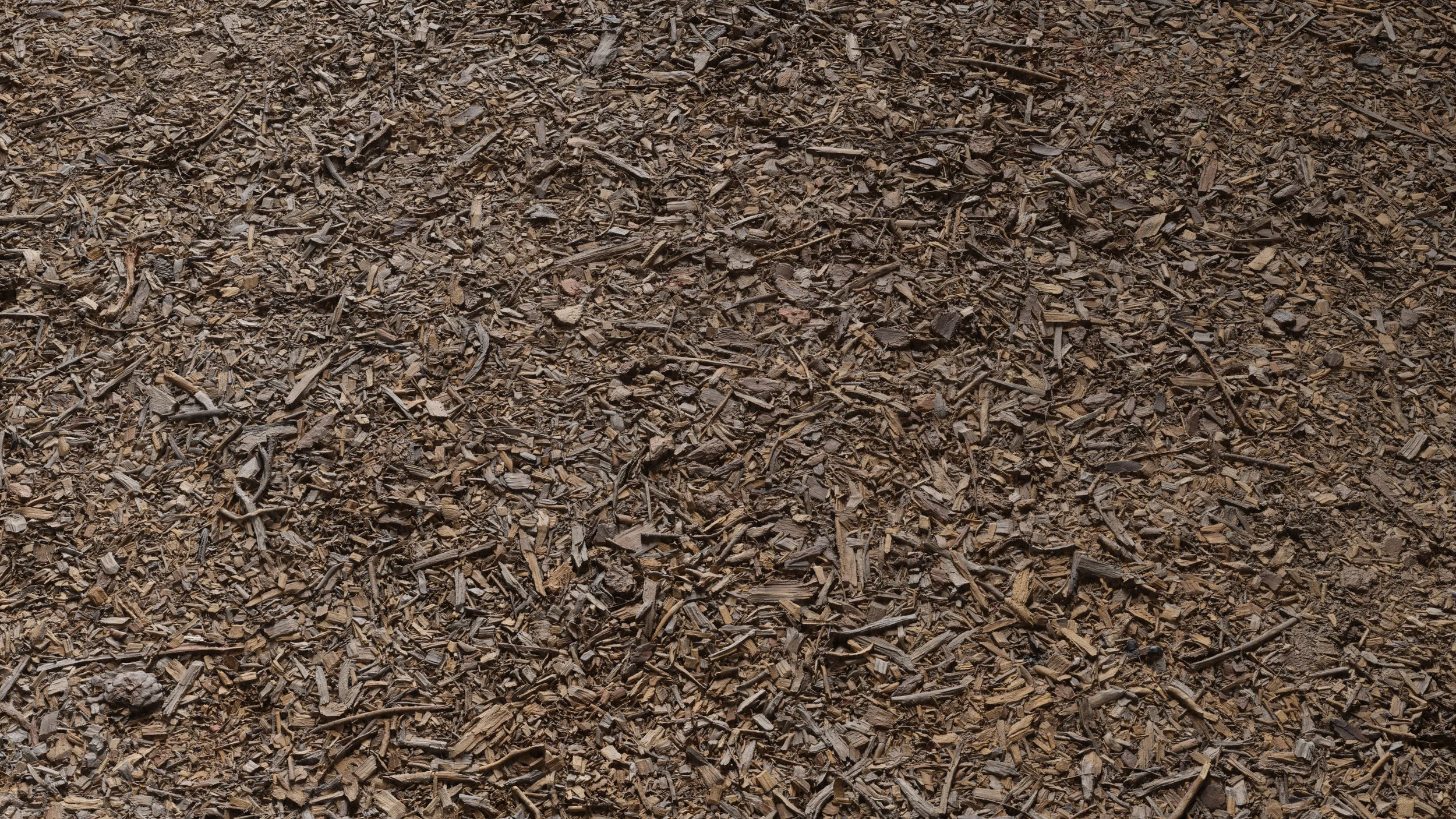 TexturesCom_Bark_Debris_Ground_header.jpg