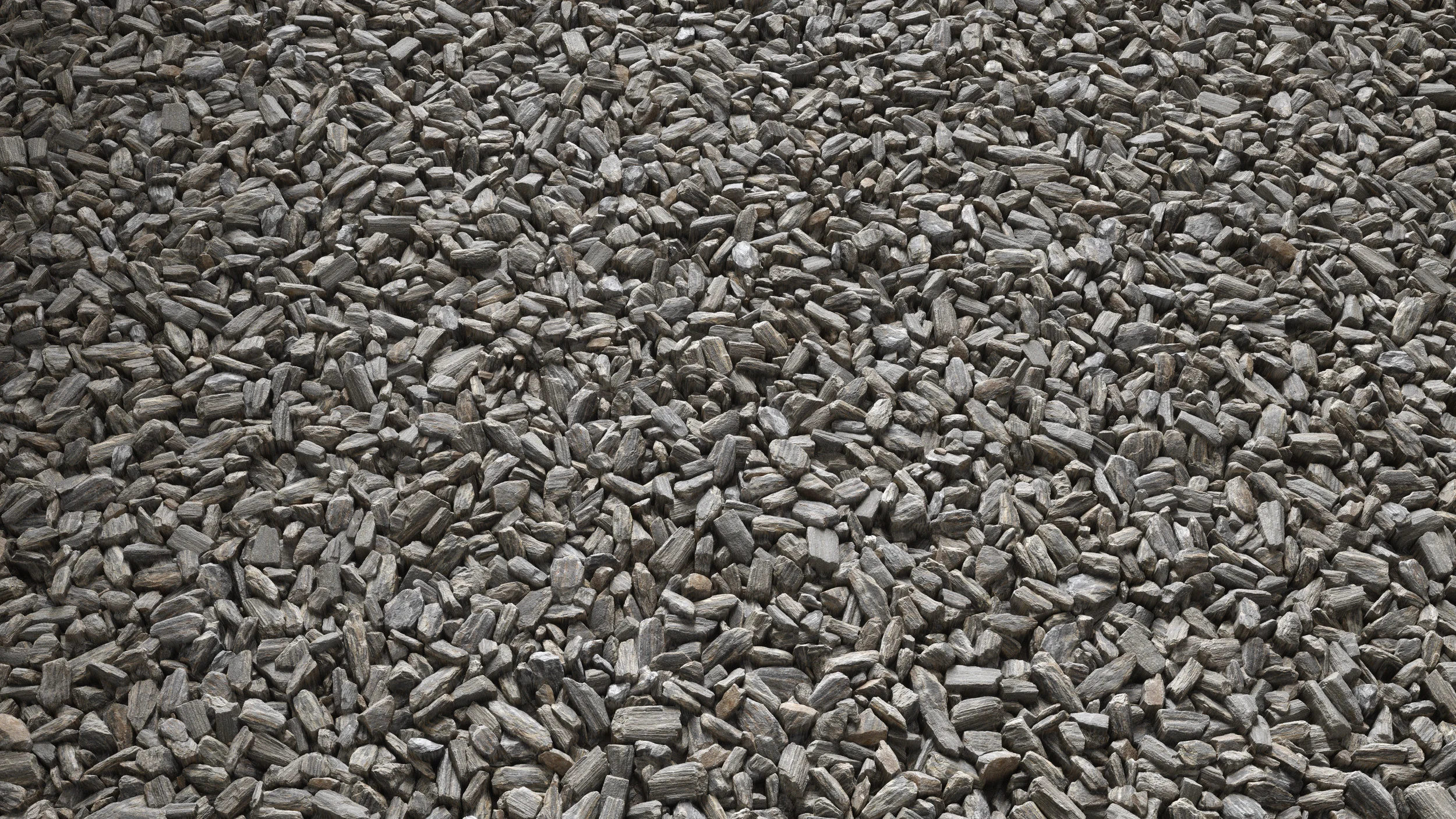 TexturesCom_Petrified_Wood_header.jpg