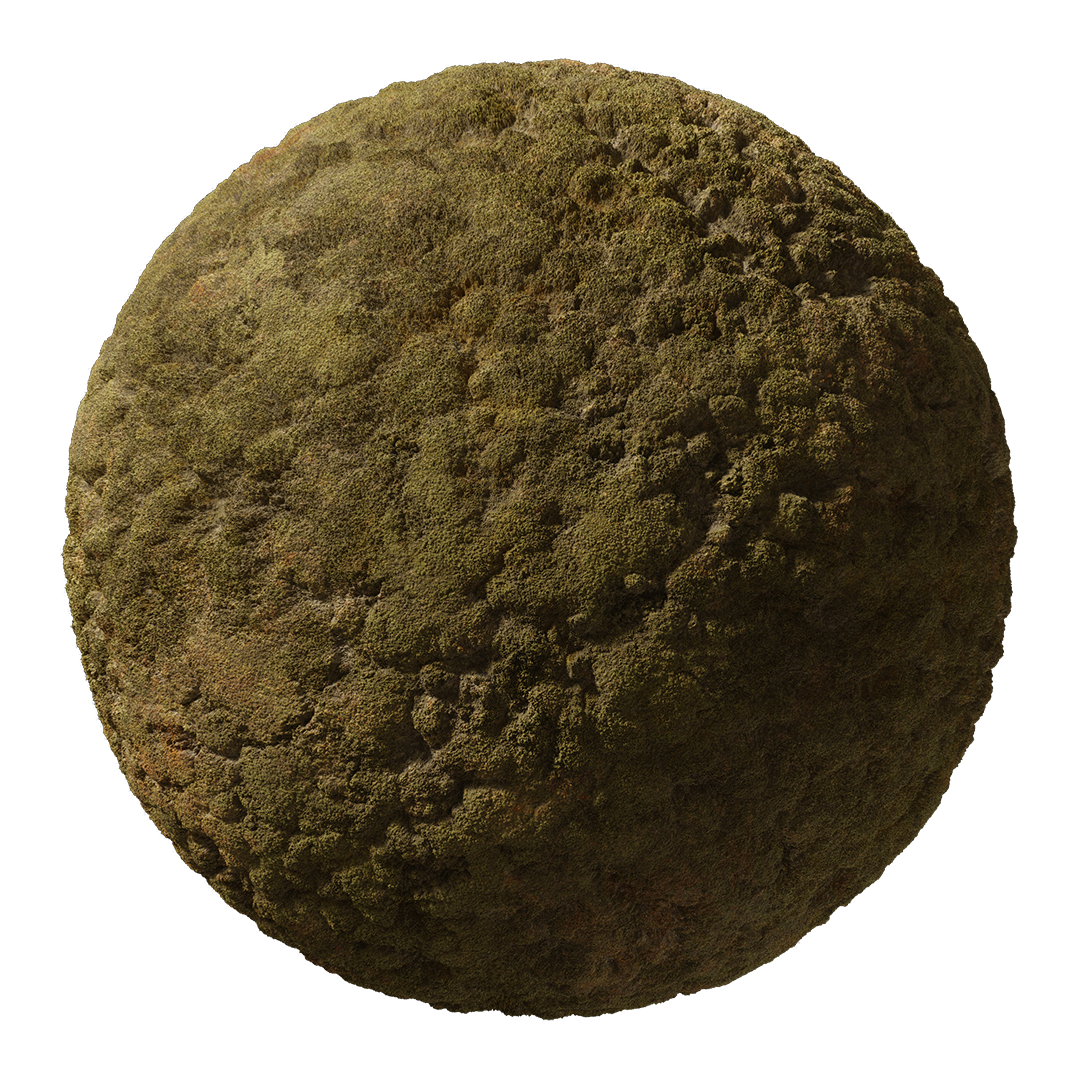 TexturesCom_Moss_3_thumbnail copy.png