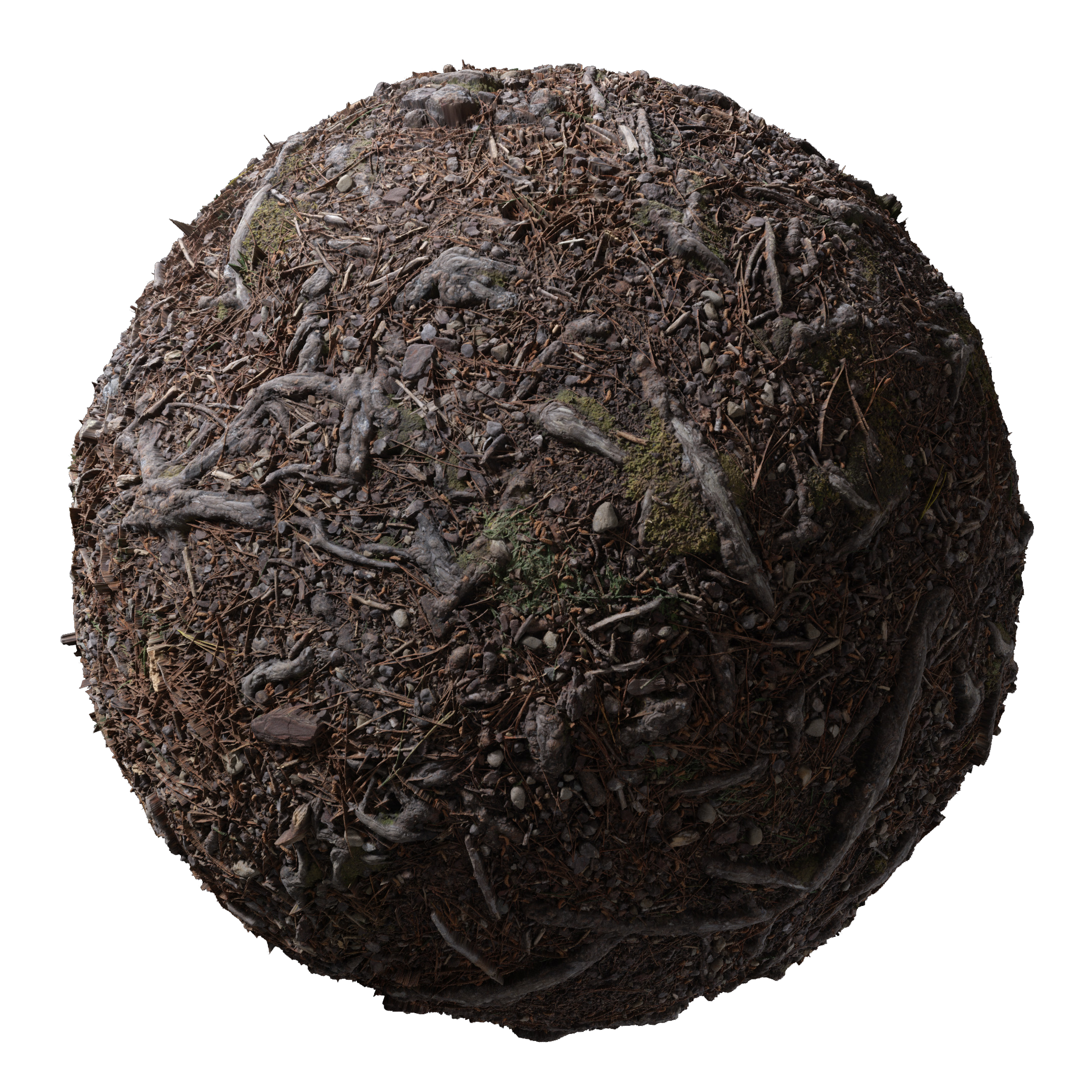 TexturesCom_Pine_Tree_Roots_Ground_thumbnail copy.png